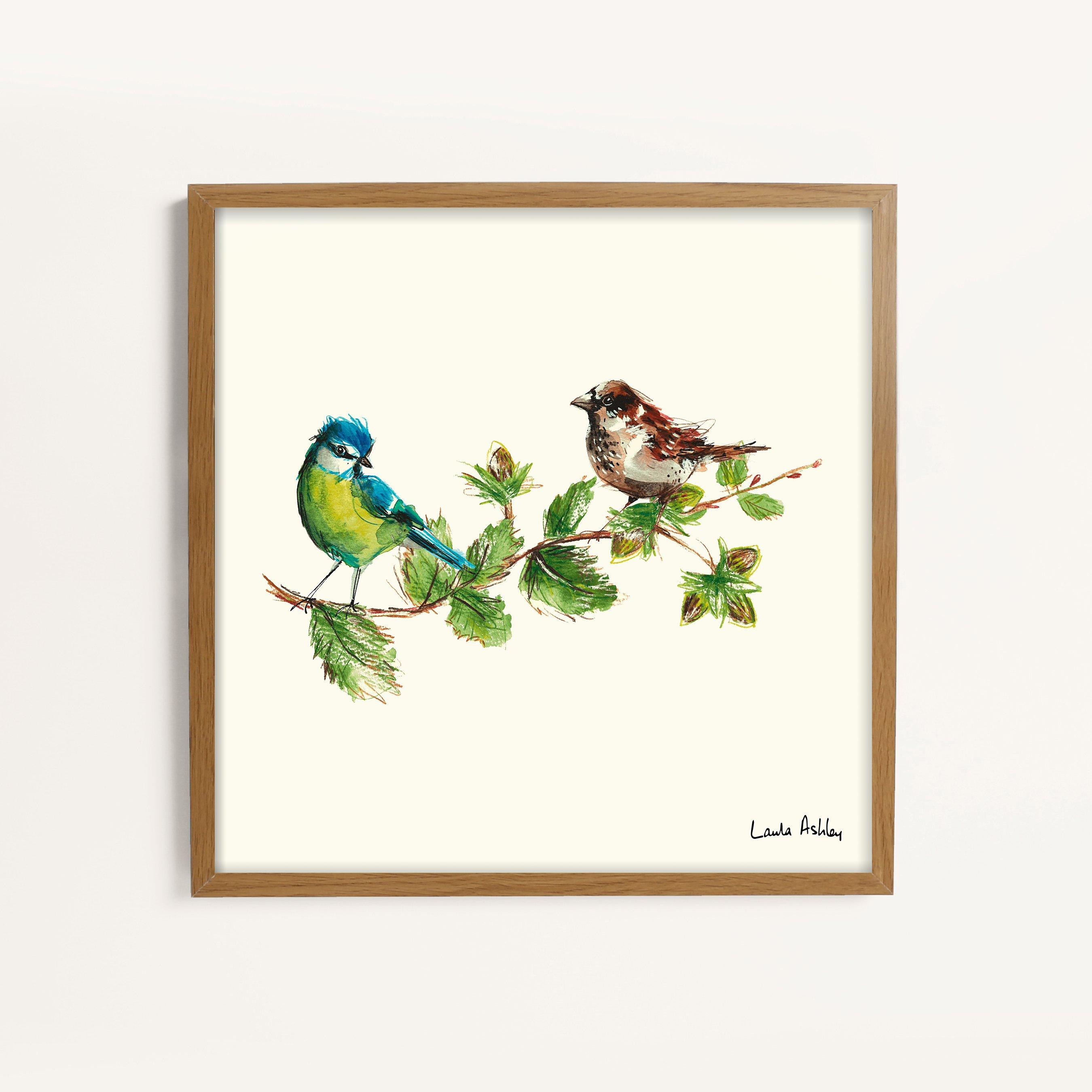 White - Laura Ashley - Sparrow & Blue Tit Bird Print in a Wood Frame - 1
