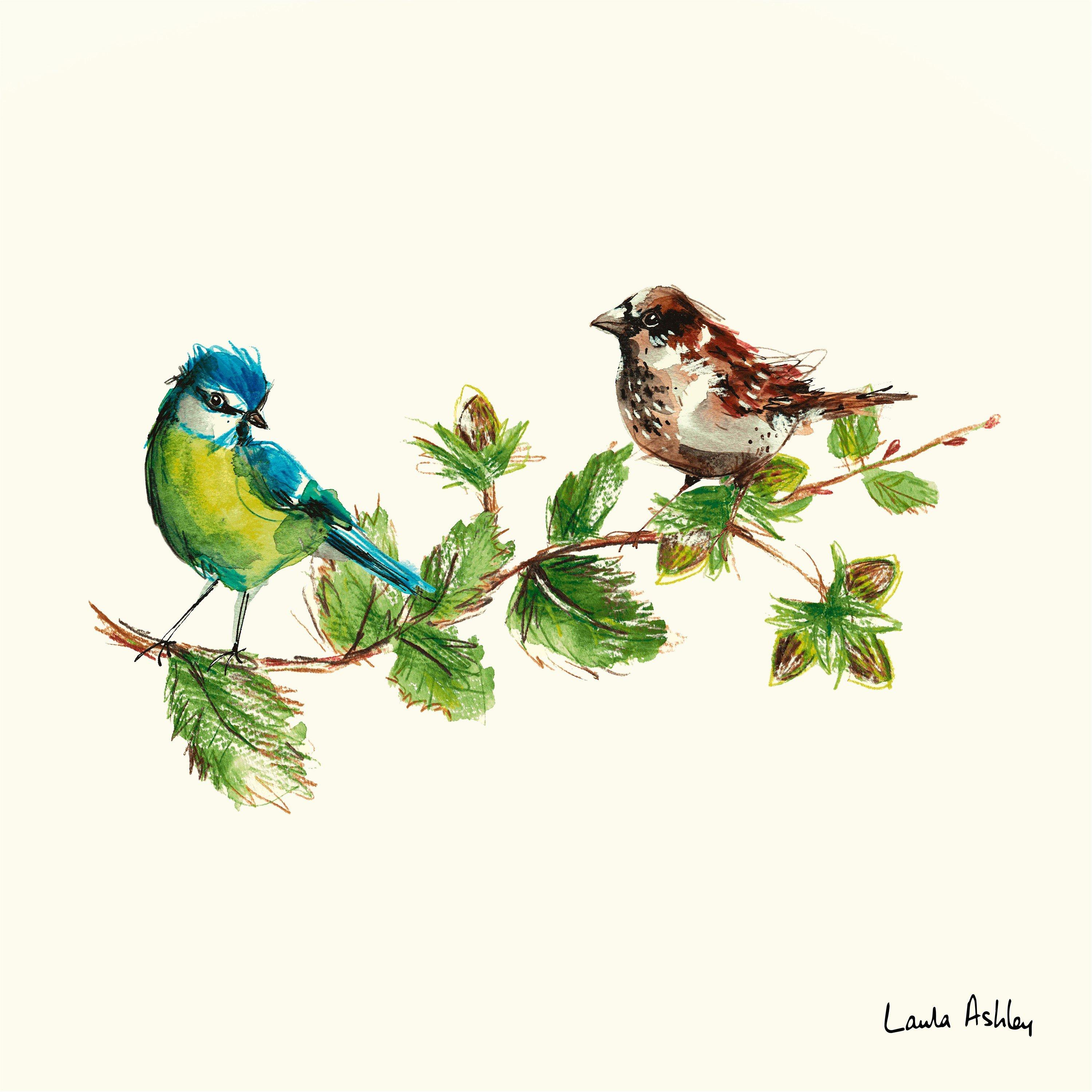 White - Laura Ashley - Sparrow & Blue Tit Bird Print in a Wood Frame - 3