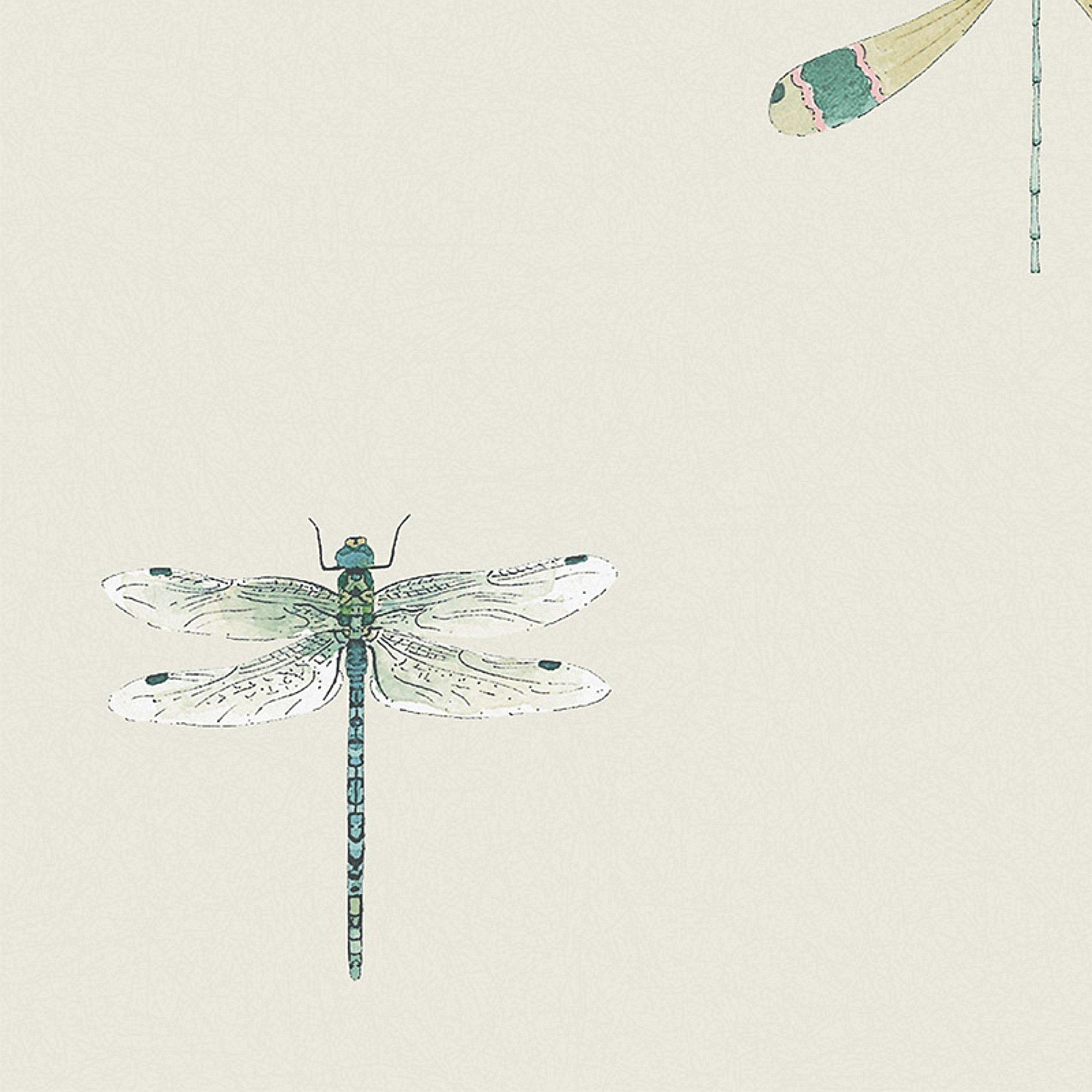 Off White - Sophie Allport - Watercolour Dragonfly Wallpaper - 4