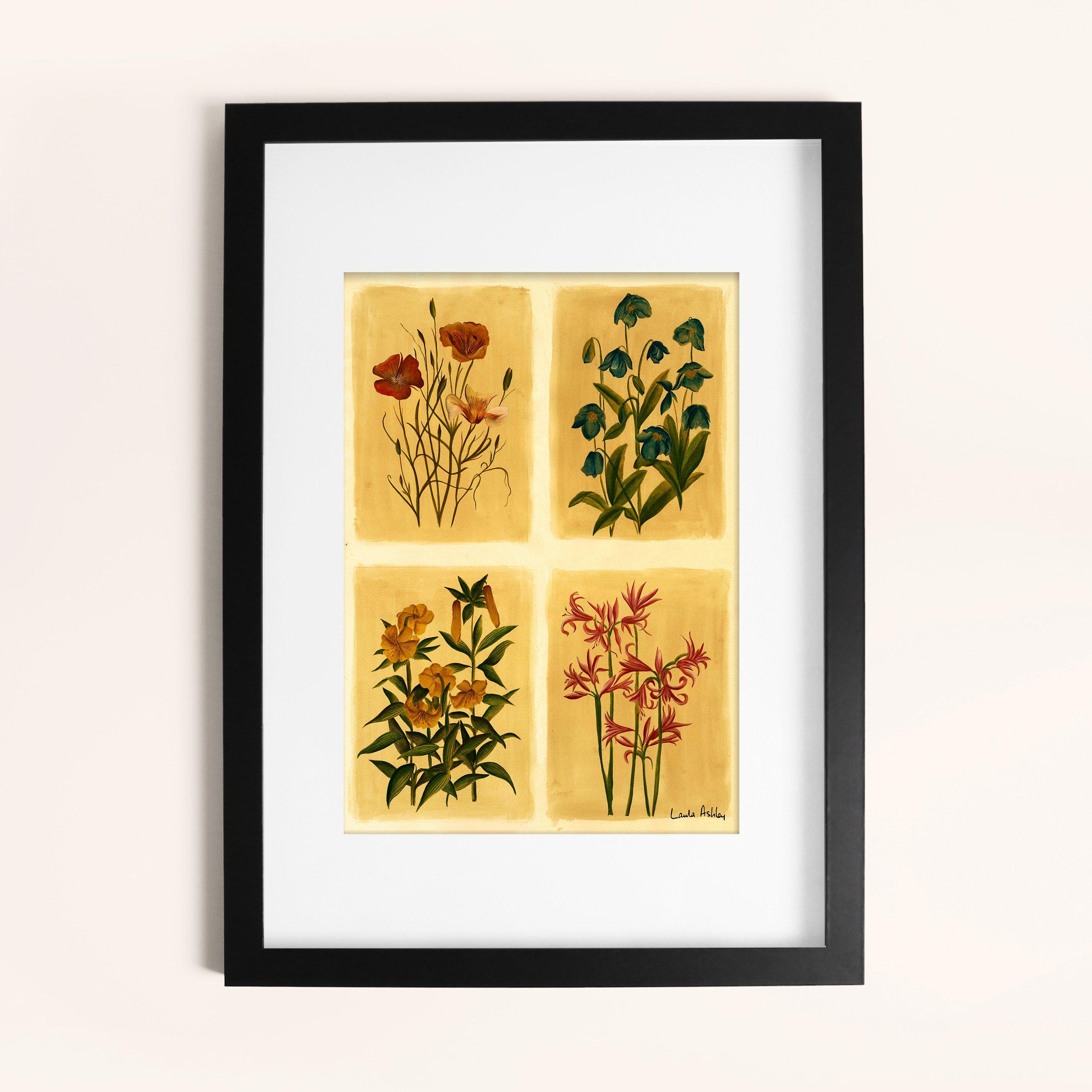 Yellow - Laura Ashley - Antique Flowers Print in a Black Frame - 1