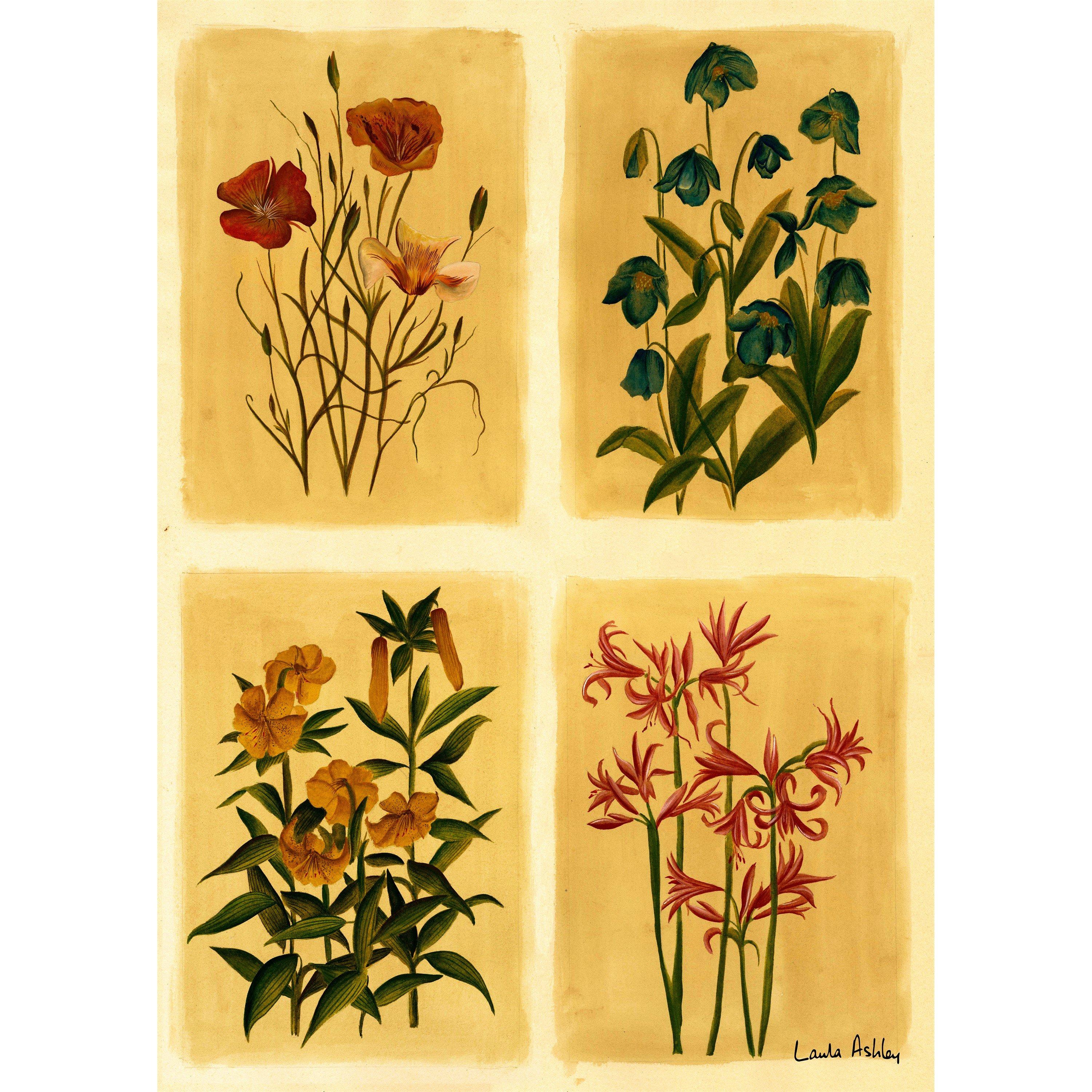 Yellow - Laura Ashley - Antique Flowers Print in a Black Frame - 3
