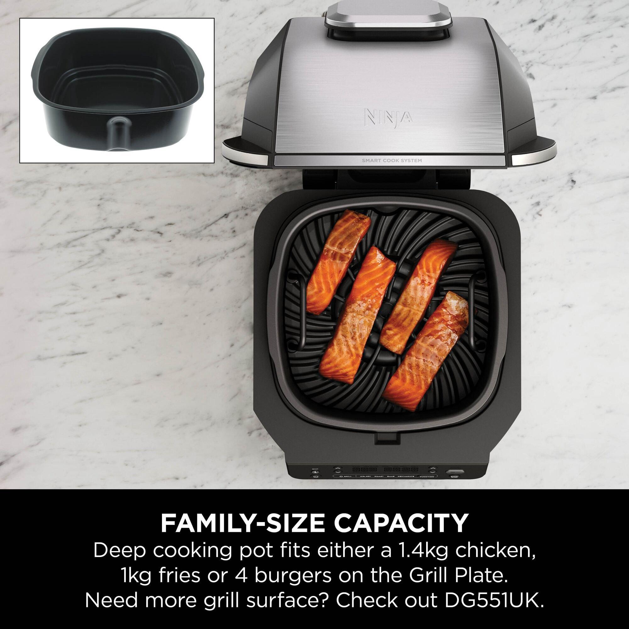 Black / Silver - Ninja - 5-in-1 Grill & Air Fryer EG351UK - 5
