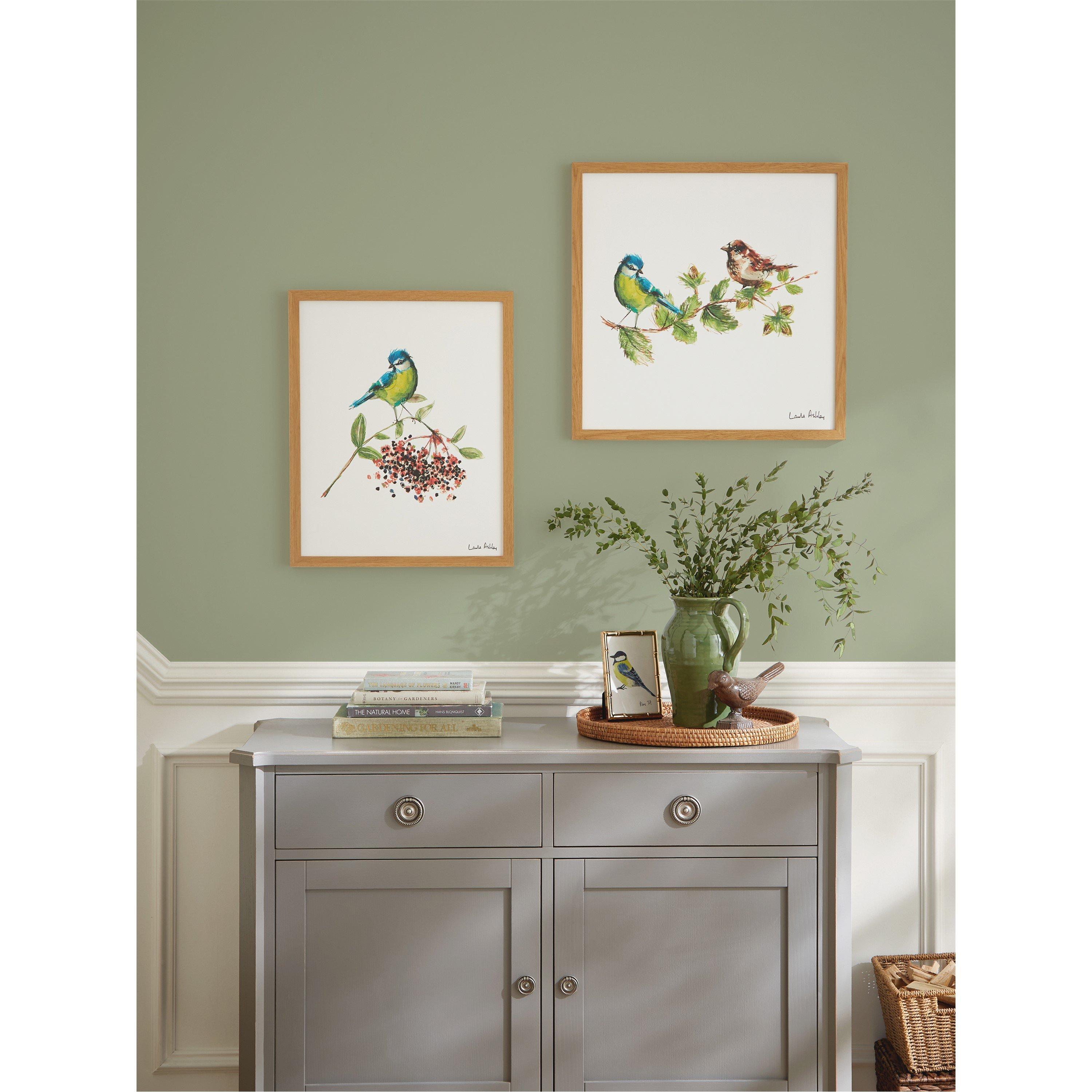 White - Laura Ashley - Blue Tit Bird Print in a Wood Frame - 2