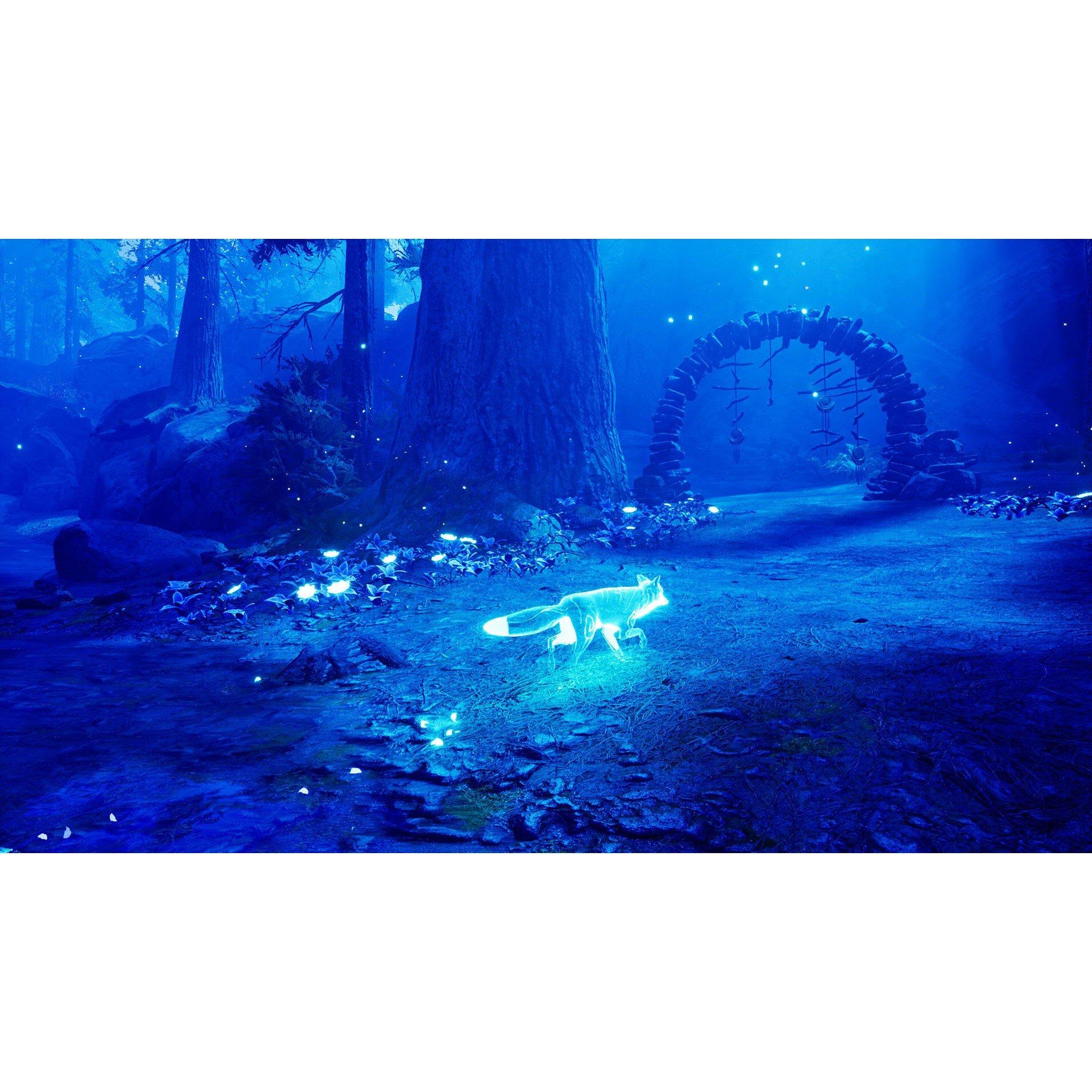 Nintendo Switch - U and I Entertainment - Spirit of the North - 3