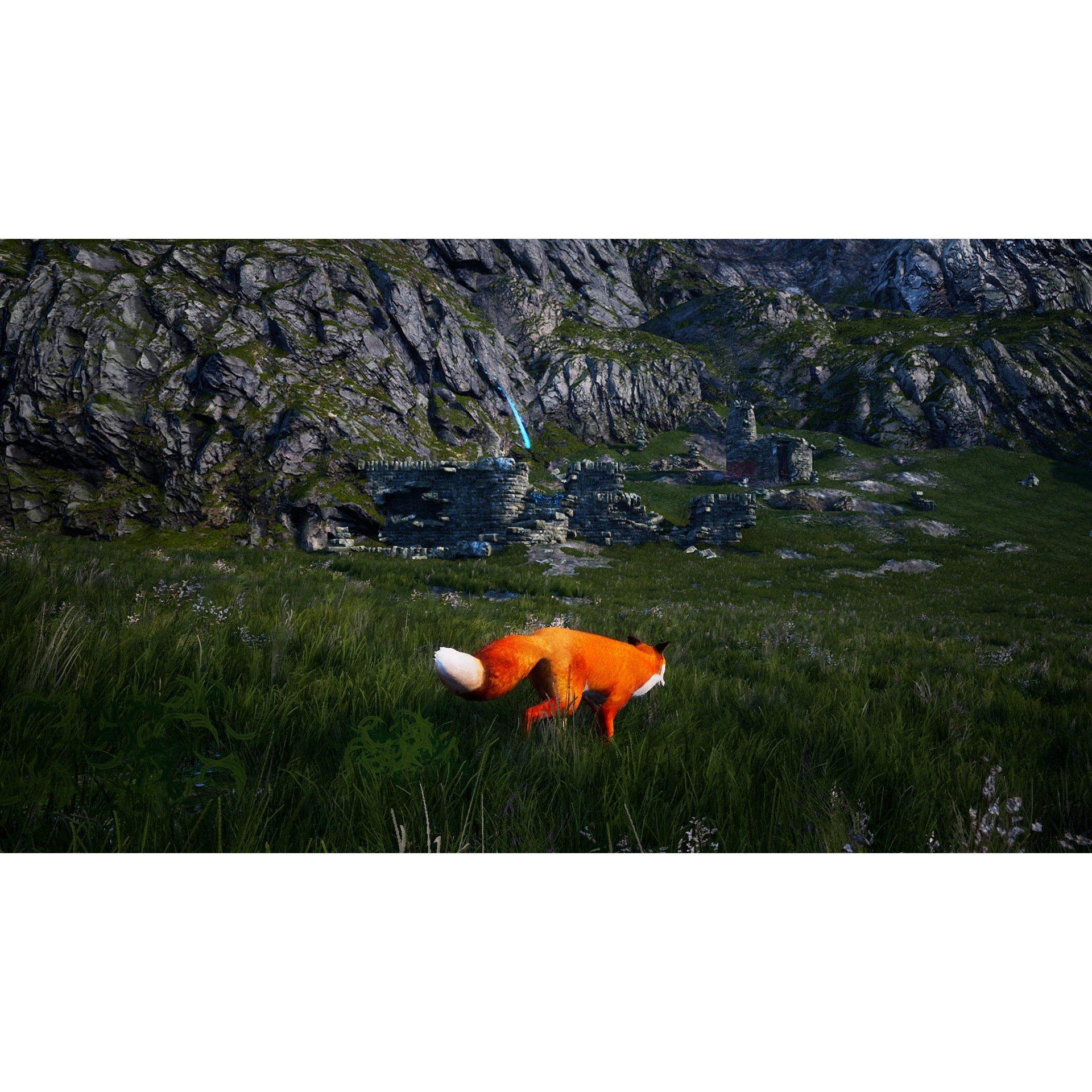 Nintendo Switch - U and I Entertainment - Spirit of the North - 6