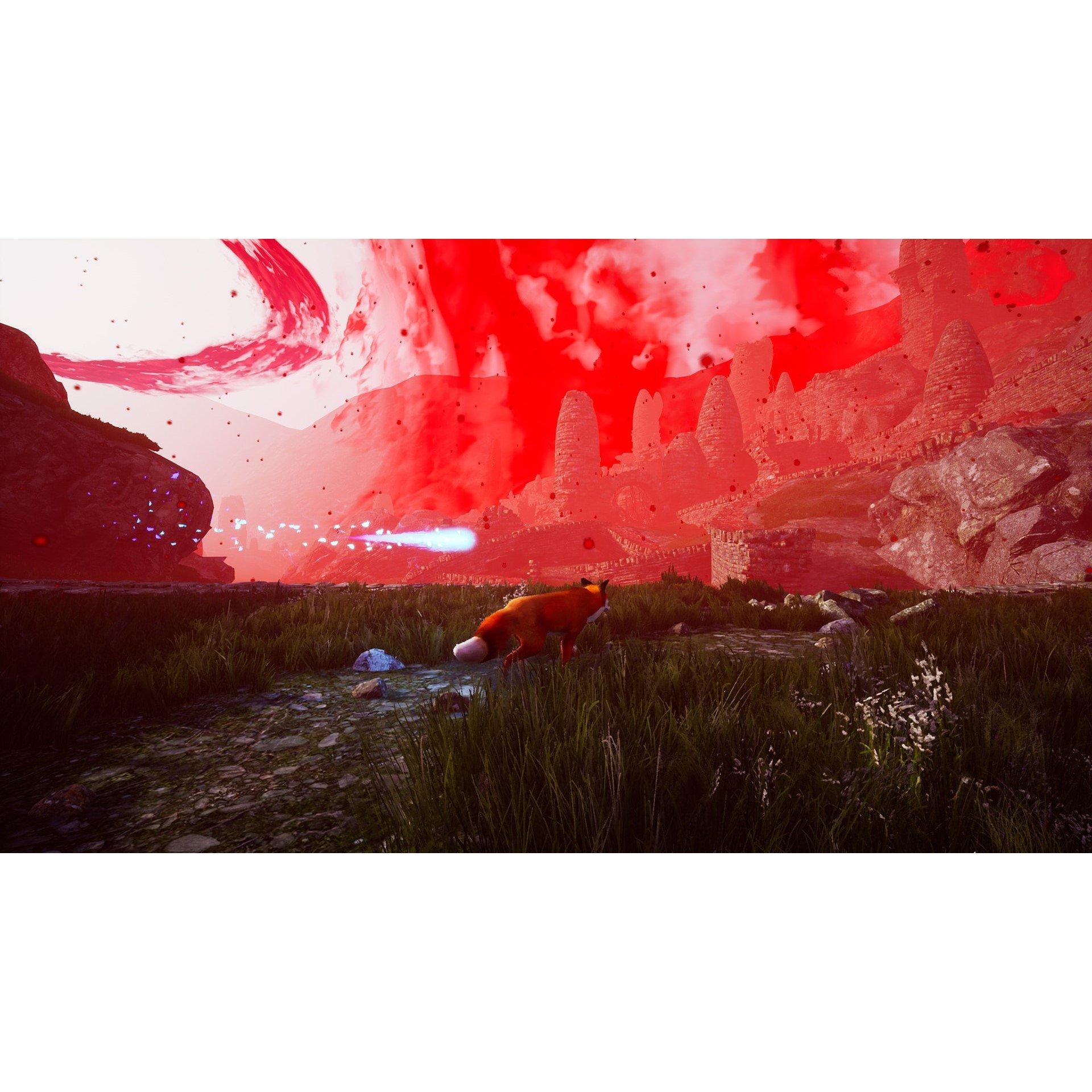 Nintendo Switch - U and I Entertainment - Spirit of the North - 7