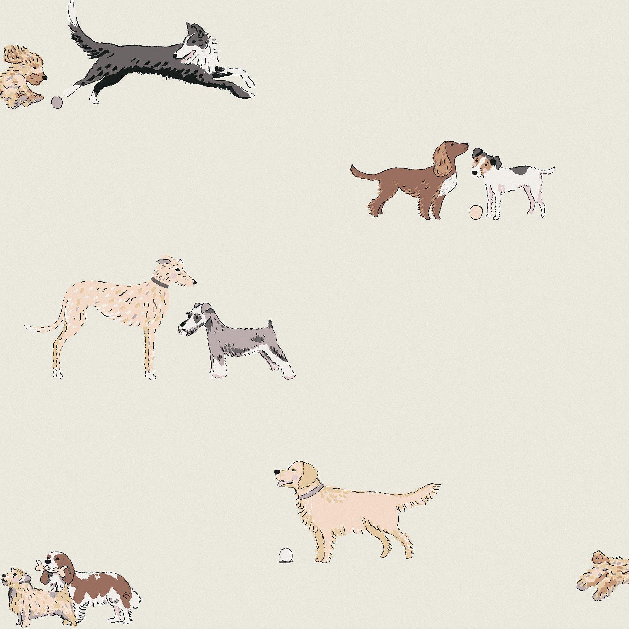 Off White - Sophie Allport - Doggy Daycare Wallpaper - 1