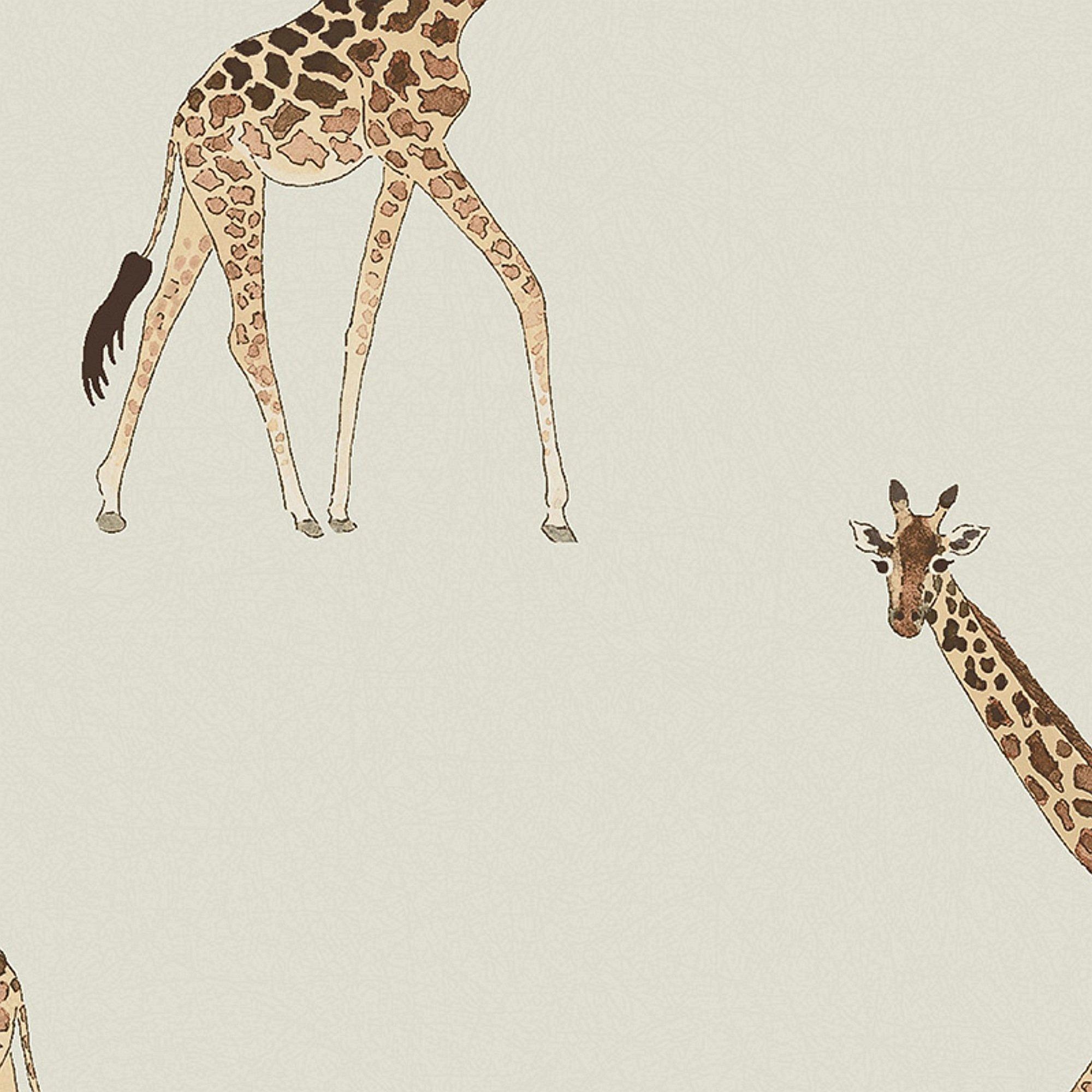 Off White - Sophie Allport - Giraffe Wallpaper - 4