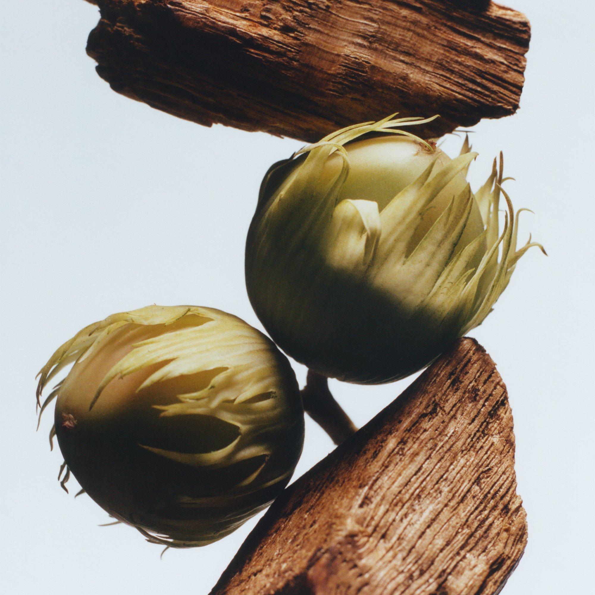 None - Jo Malone London - English Oak Car Diffuser Refill - 3