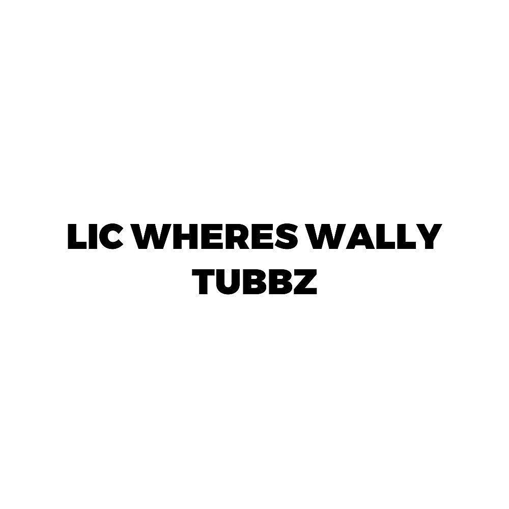 Merchandise - Tubbz - Where's Wally - Tubbz