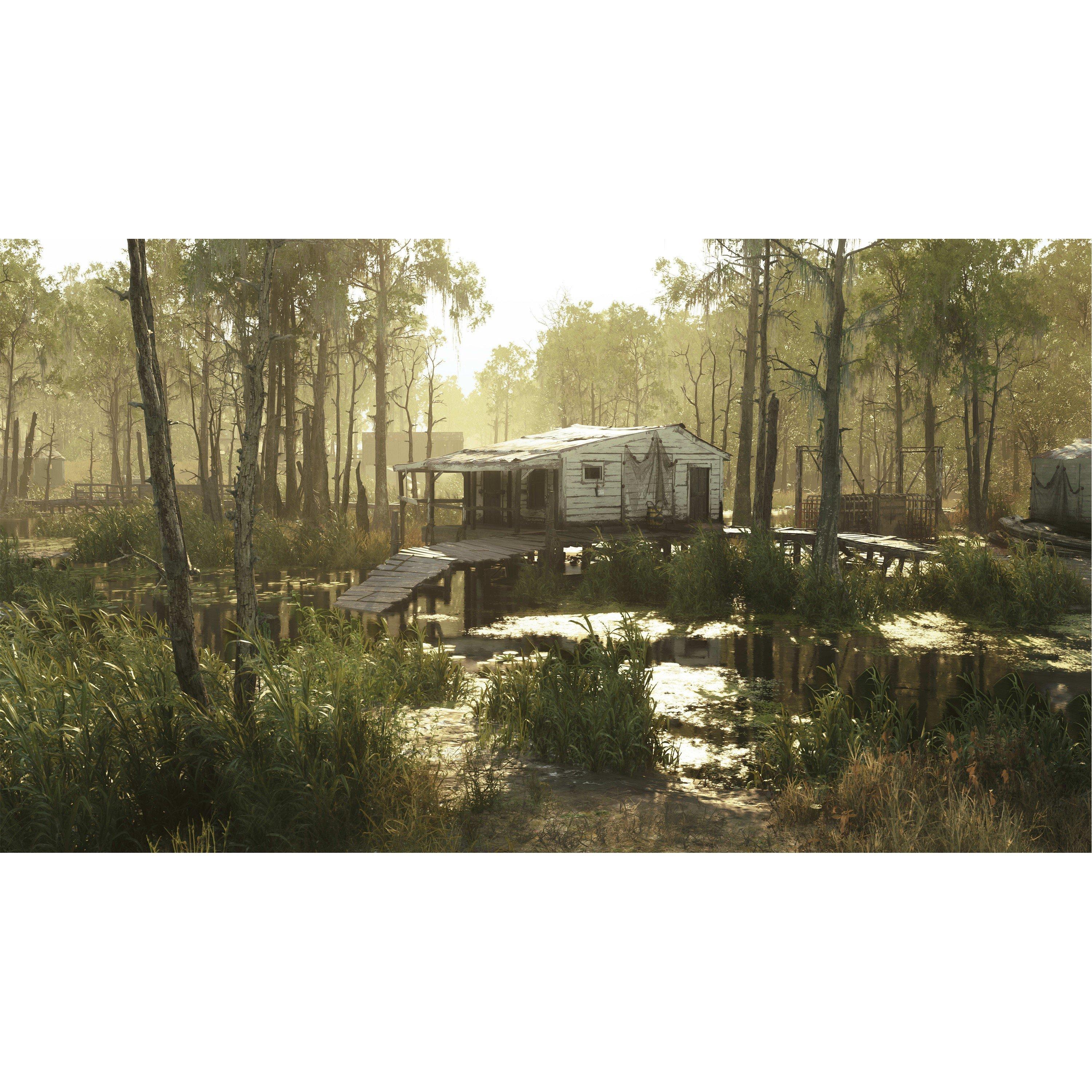 Ps4 - Plaion - Hunt Showdown - Limited Bounty Hunter Edition - 7