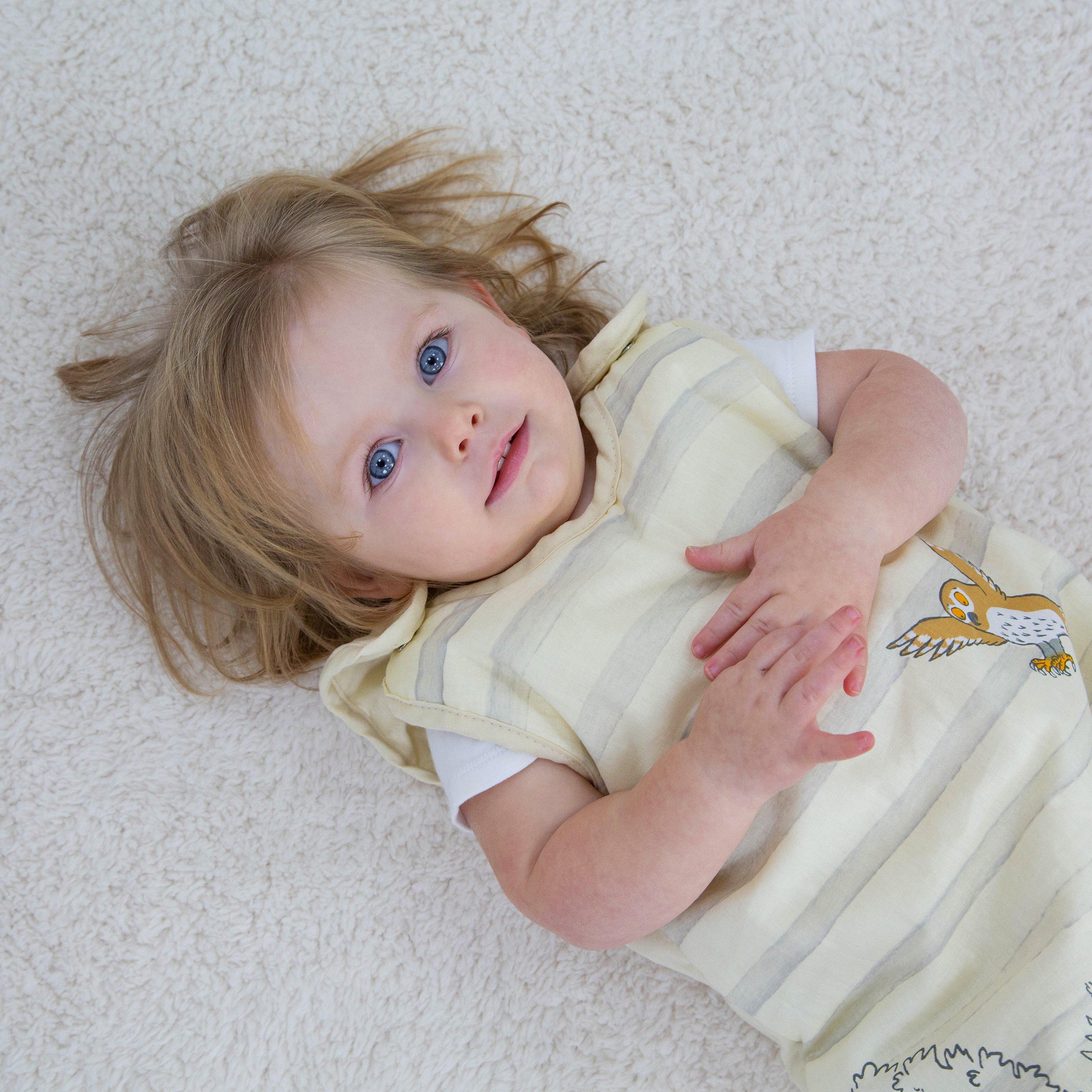 Multicolour - Gruffalo - My First Sleep Sack 6-18 Months - 4