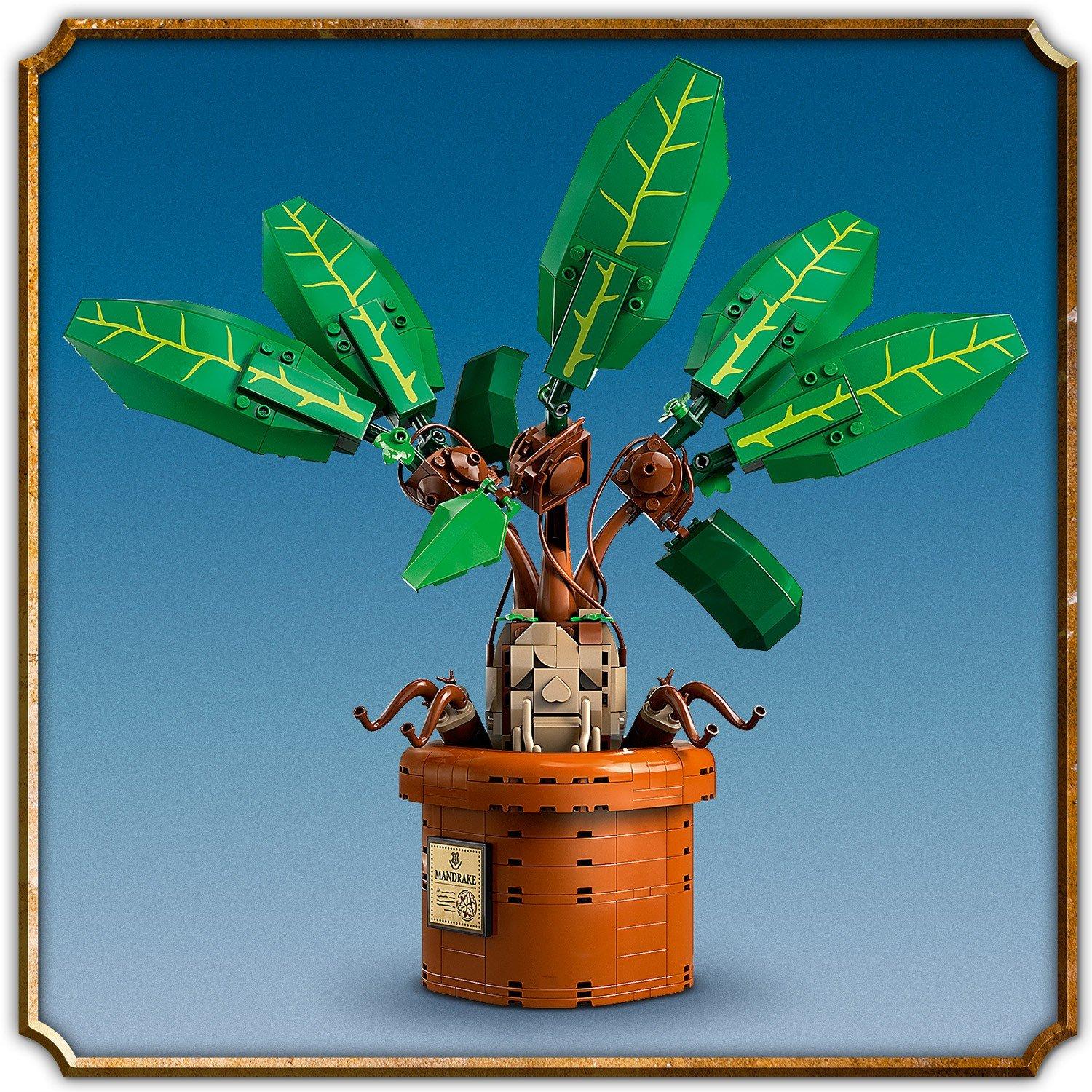 Merchandise - LEGO - Harry Potter 76433 Mandrake - 11