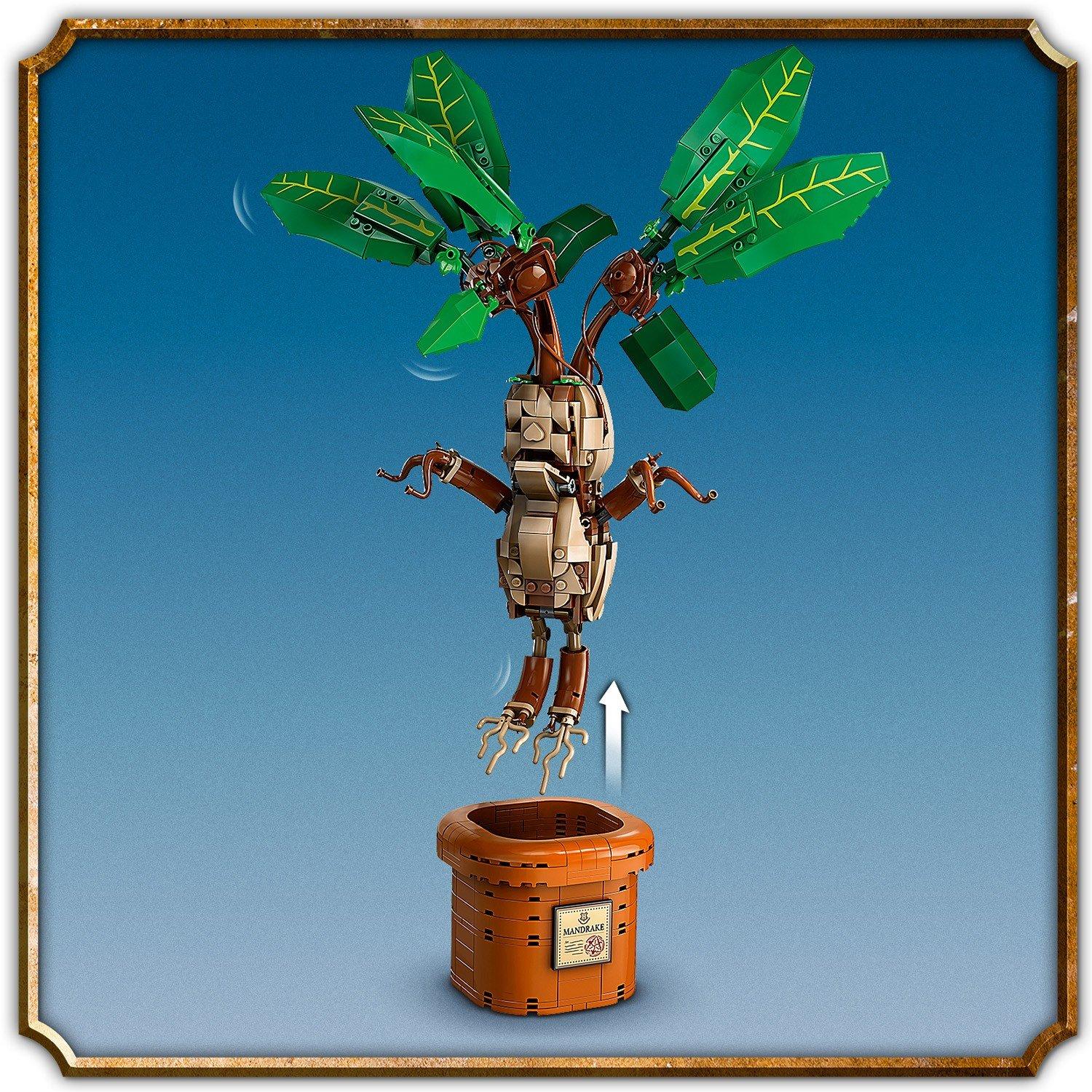 Merchandise - LEGO - Harry Potter 76433 Mandrake - 12