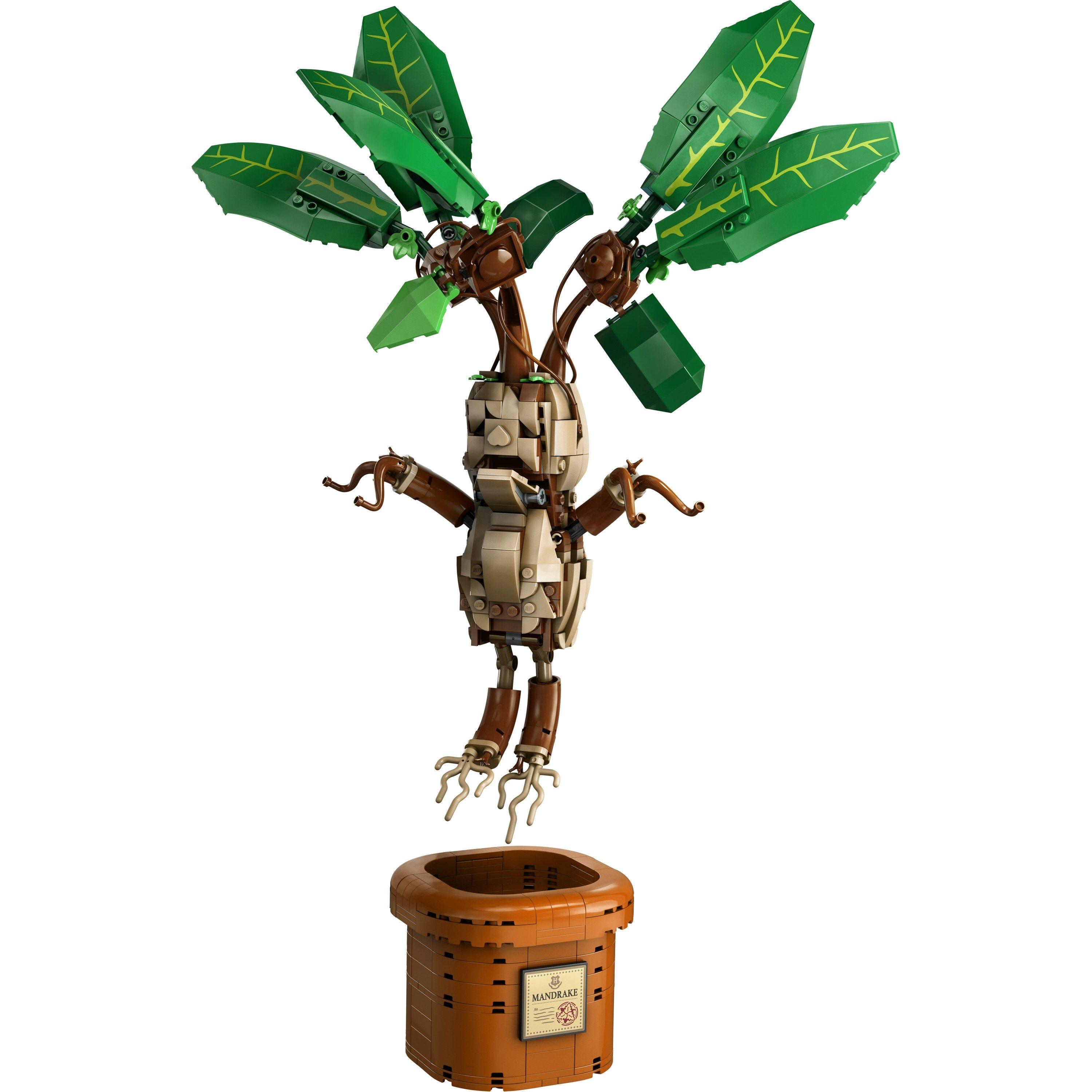 Merchandise - LEGO - Harry Potter 76433 Mandrake - 14