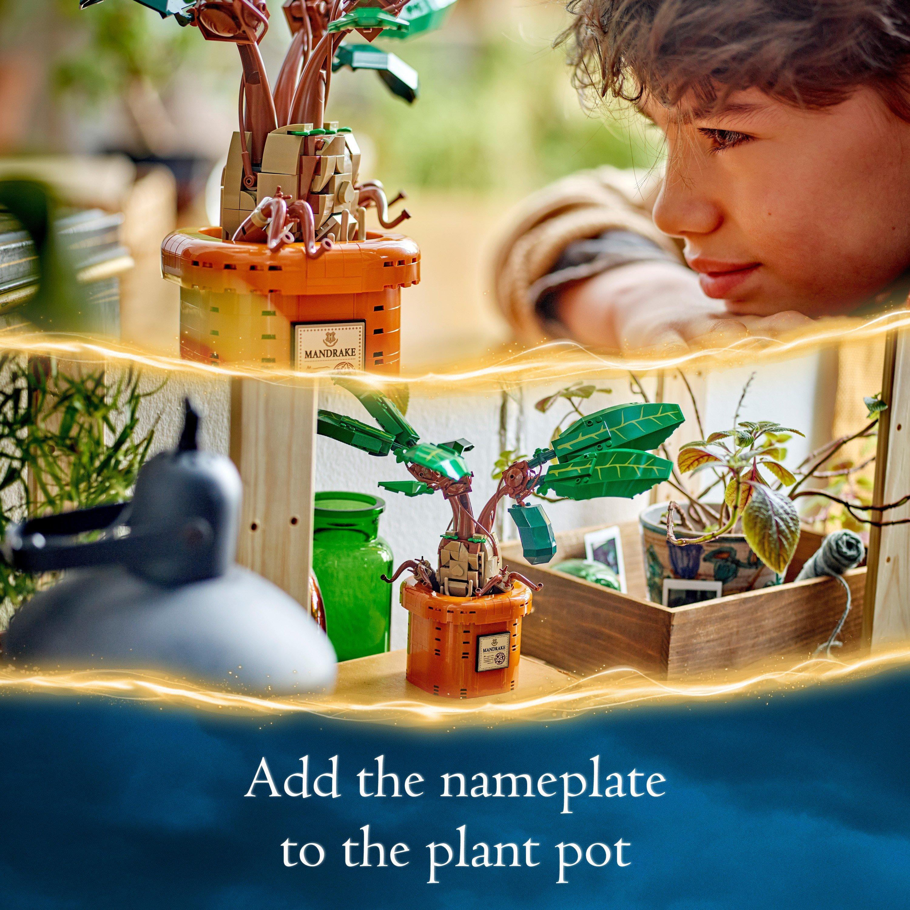 Merchandise - LEGO - Harry Potter 76433 Mandrake - 7