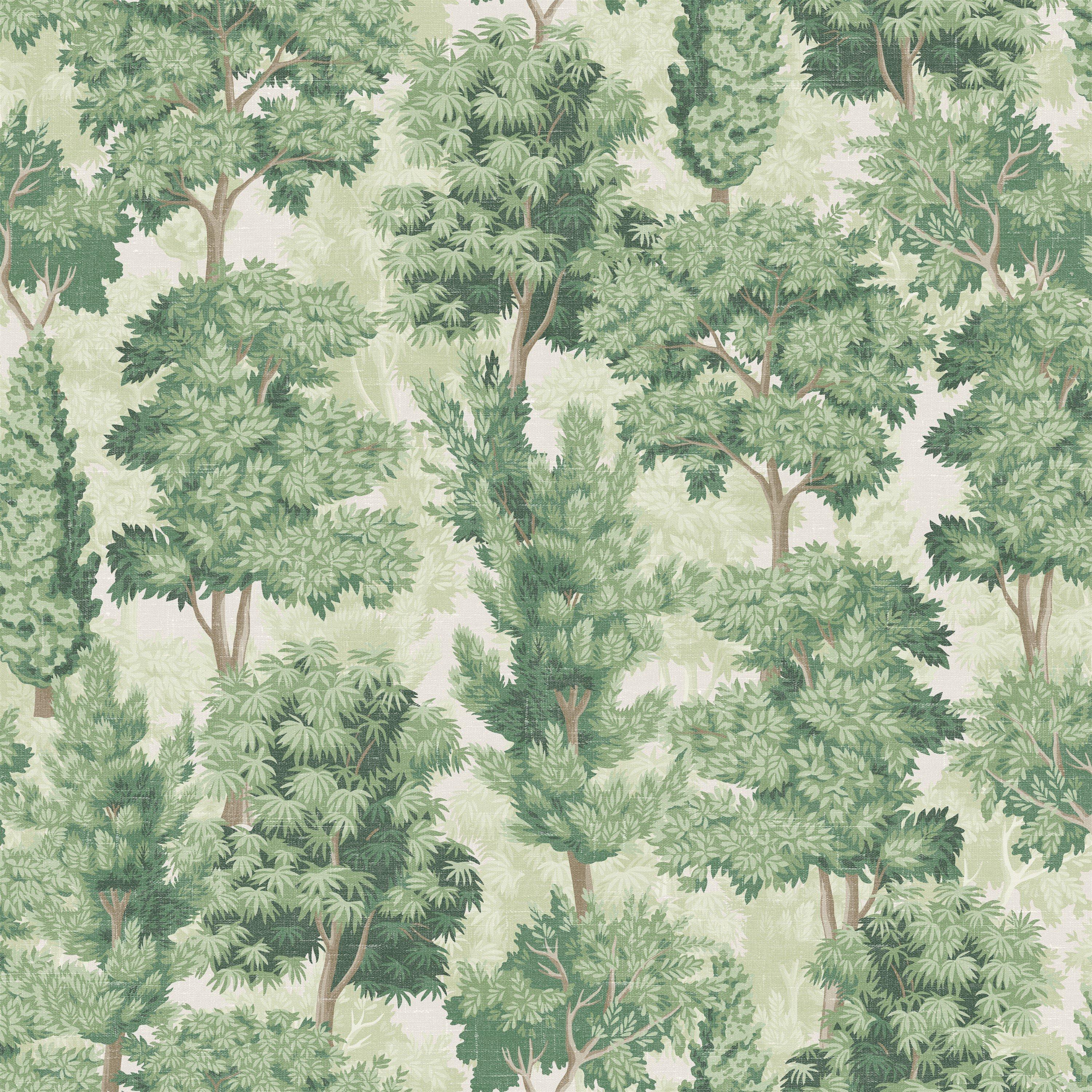 Arthouse  Organic Forest Wallpaper Green