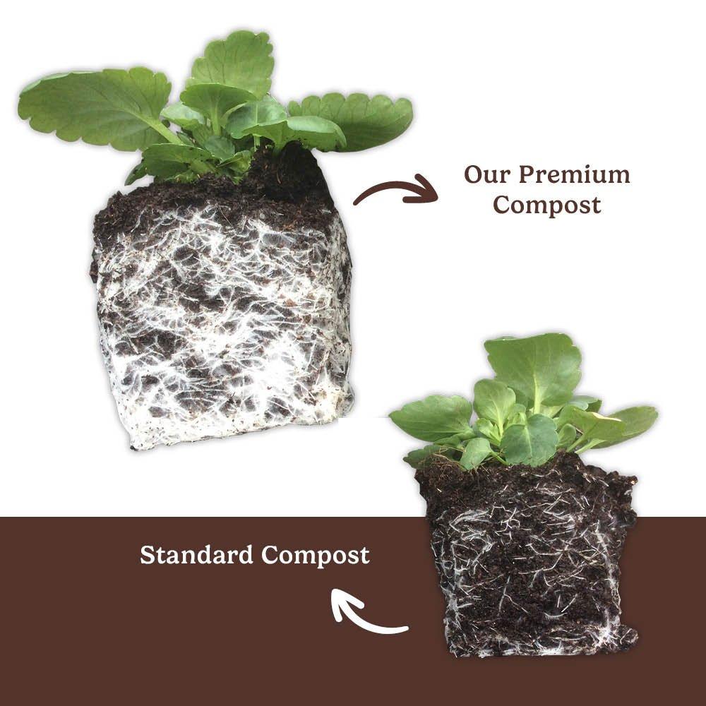 Multi - YouGarden - Professional Compost  110L & Scoop - 3