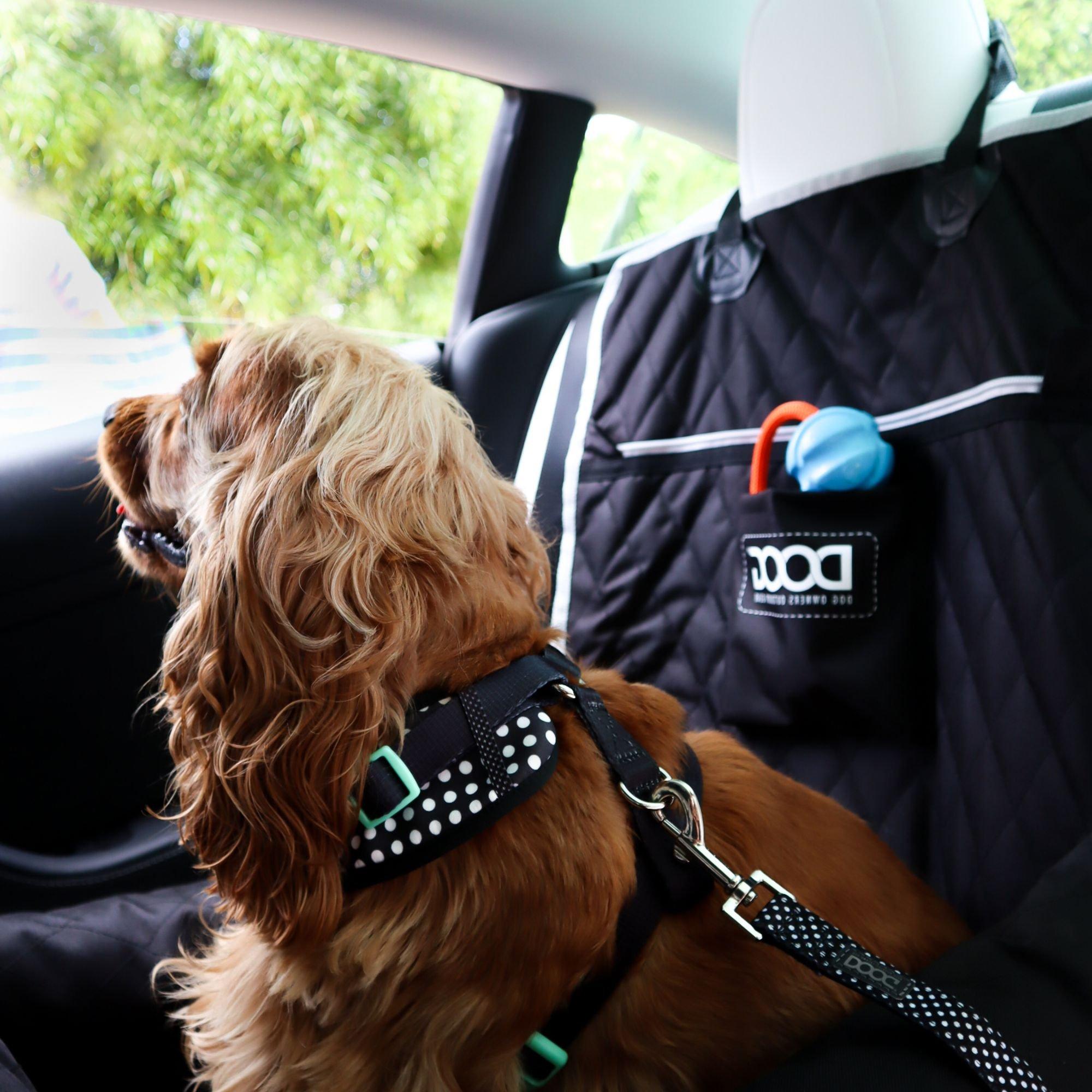 Black - DOOG - Car Seat - Black - 2