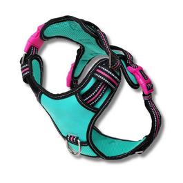 DOOG Neotech Harness - Rin Tin Tin - XL