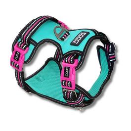 DOOG Neotech Harness - Rin Tin Tin - large