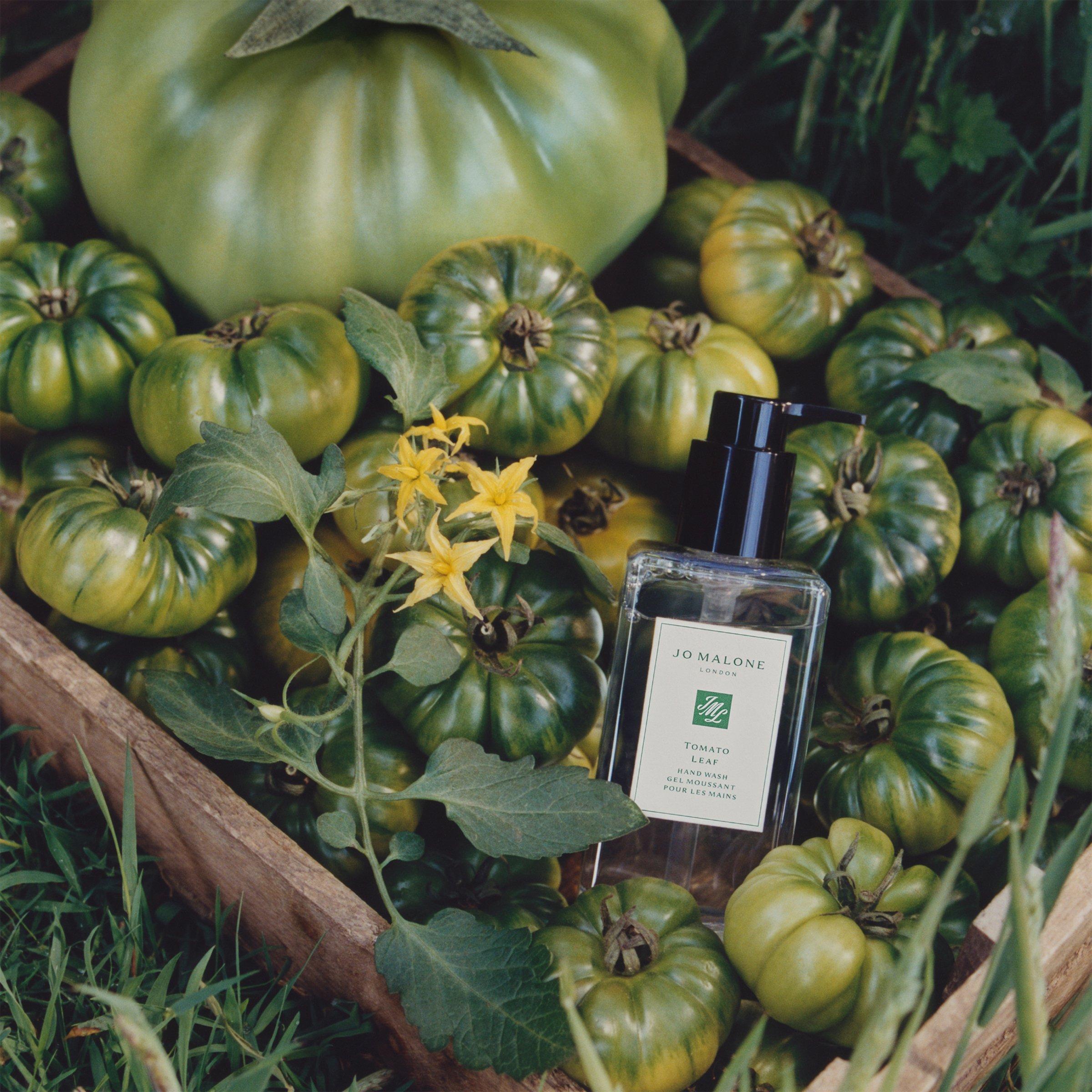 Jo Malone | Tomato Leaf Hand Wash 250ml | Flannels