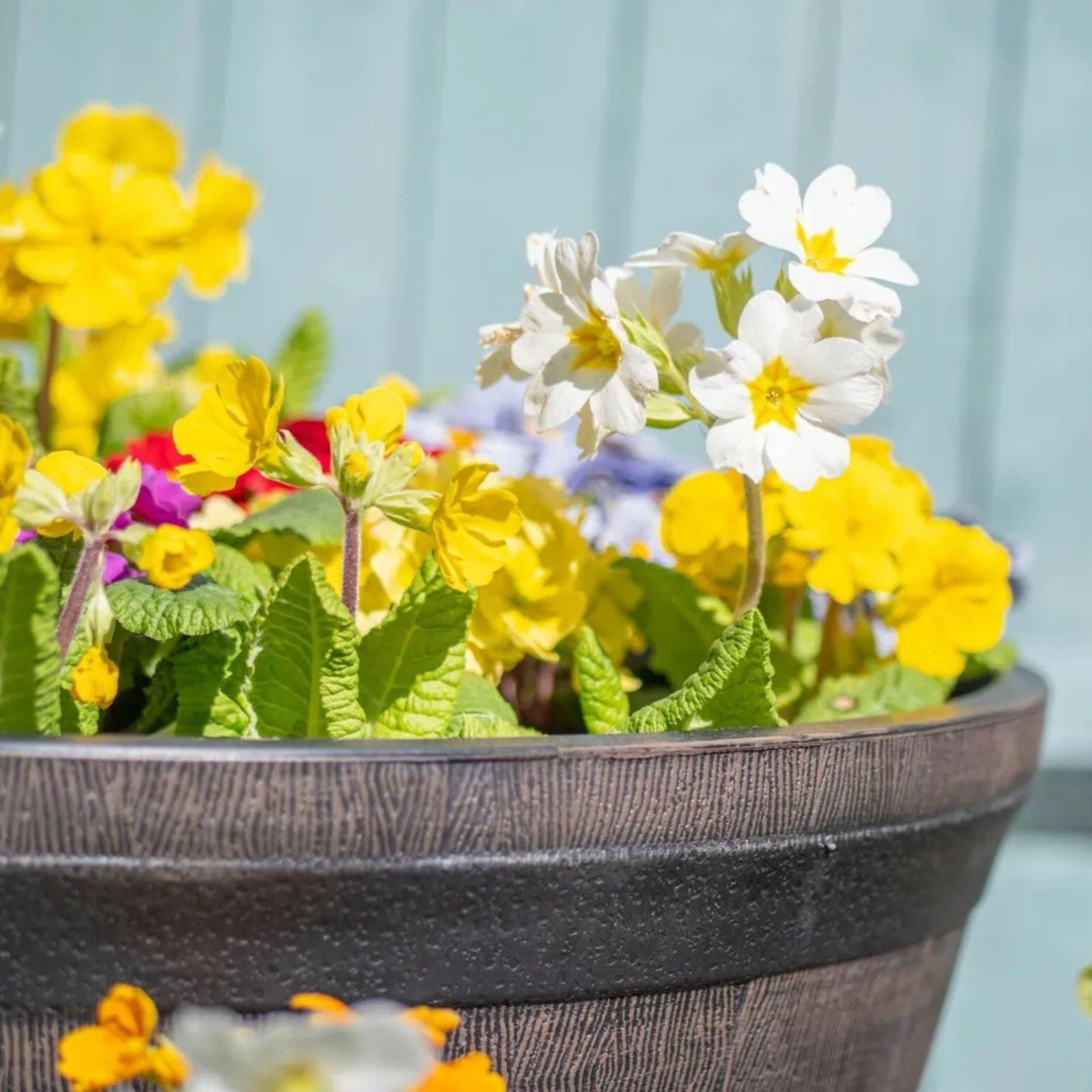 Brown - Garden Gear - Garden Gear Wooden Barrel Effect Planter - 3