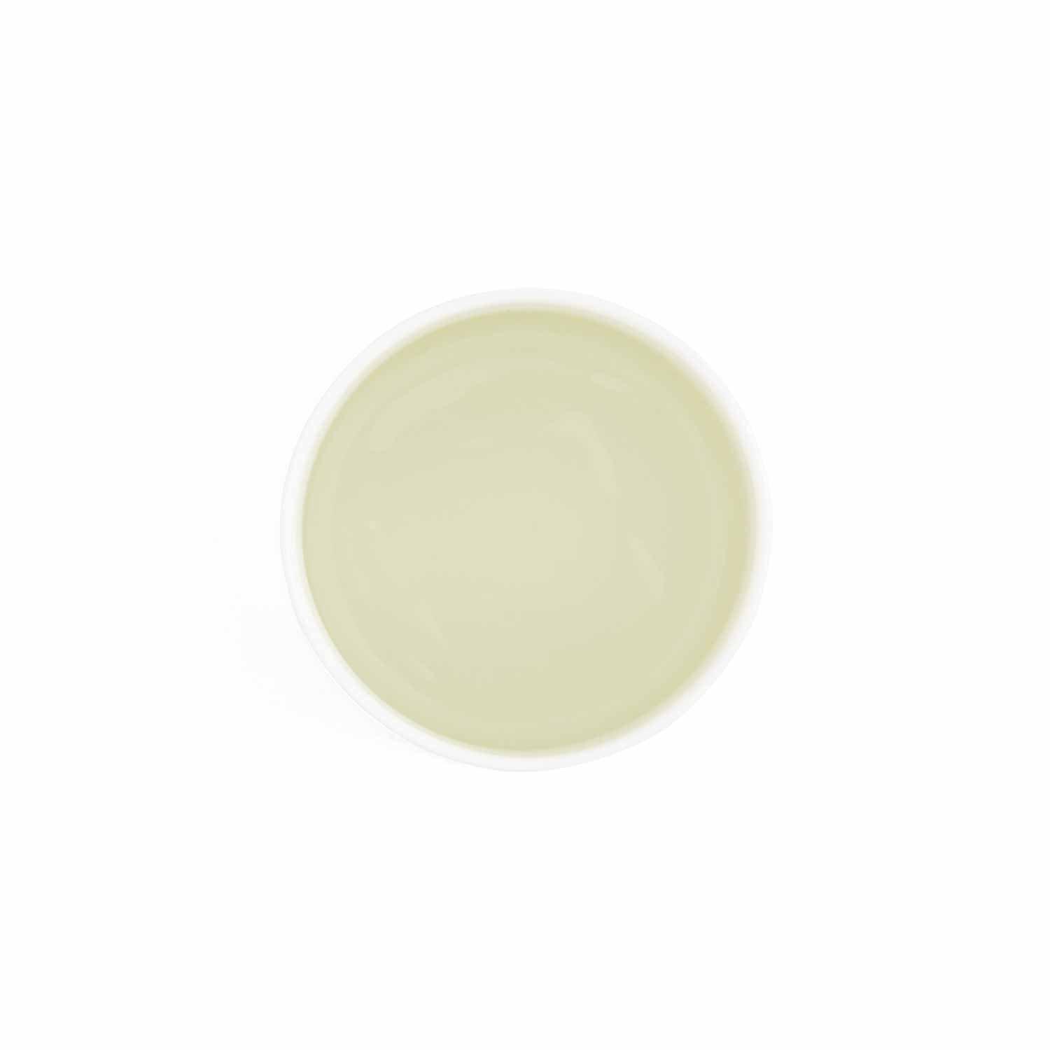 Neutral - Royal Worcester Wrendale - Wrendale Designs Medium Vase - 3