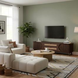 Urban Meuble Modern Brown TV Stand with Rattan Accents
