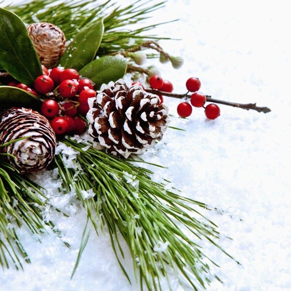 LIFE IDEAS 30pcs White-Dyed Pine Cone Ornaments