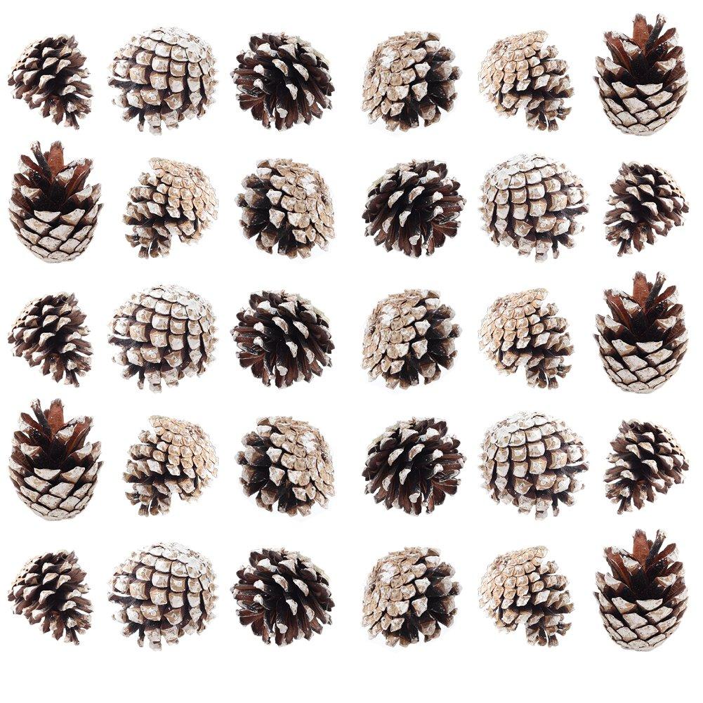 Brown And White - LIFE IDEAS - 30pcs White-Dyed Pine Cone Ornaments - 5