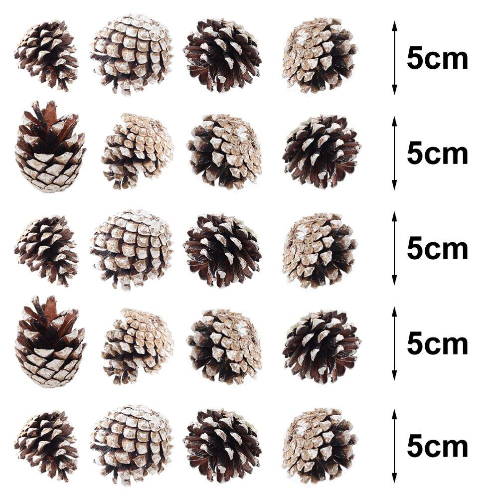 Brown And White - LIFE IDEAS - 30pcs White-Dyed Pine Cone Ornaments - 7