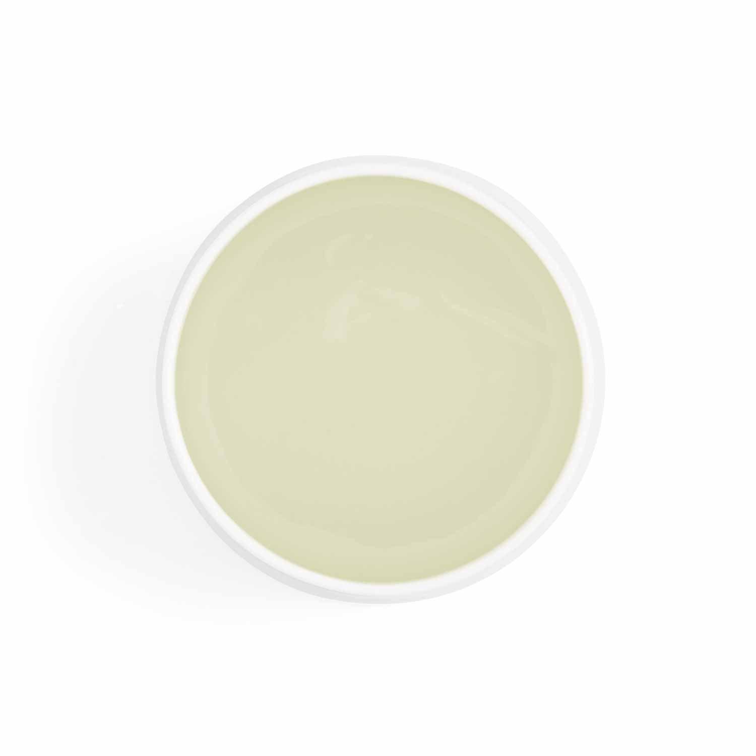 Neutral - Royal Worcester Wrendale - Wrendale Designs Large Vase - 2