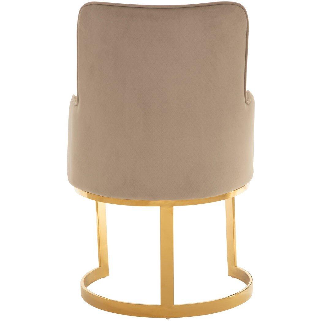 Beige - Interiors by Premier - Eliza Beige Velvet Dining Chair - 3