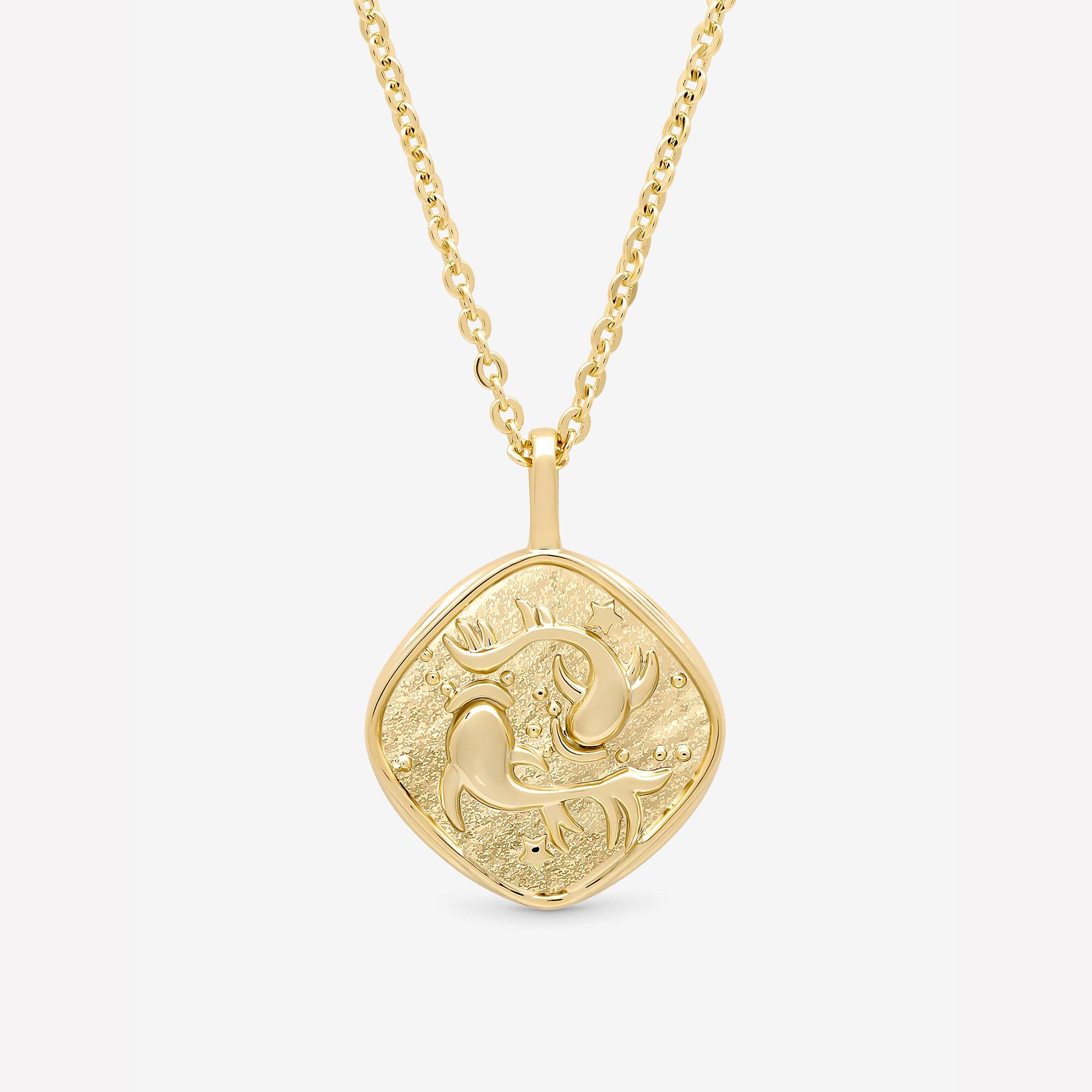 Gold - Jon Richard - Gold Plated Molten Horoscope Necklace - Pisces - 2