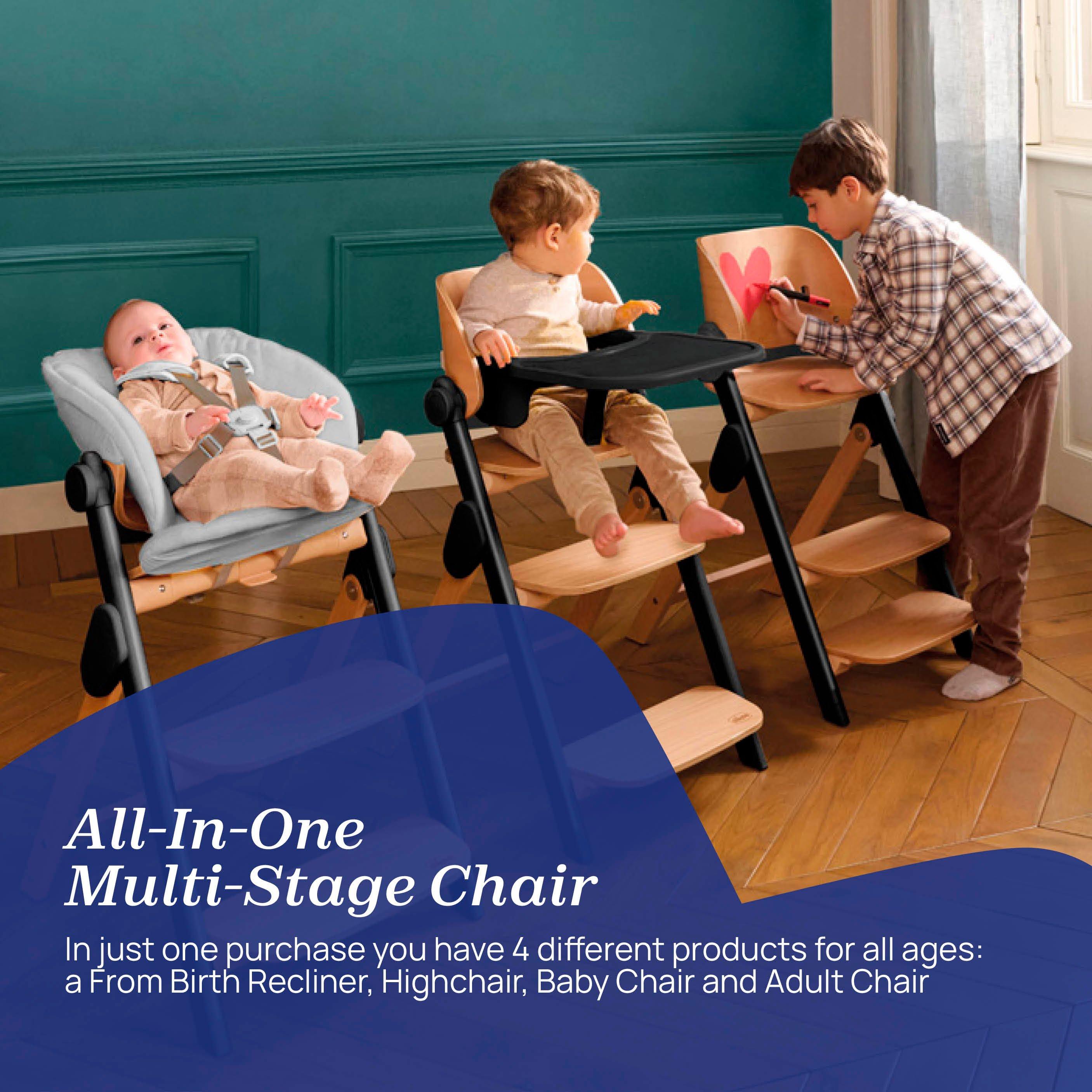 Ebony - Chicco - Meraviglia 4-in-1 Folding Multi-Stage Highchair - 3