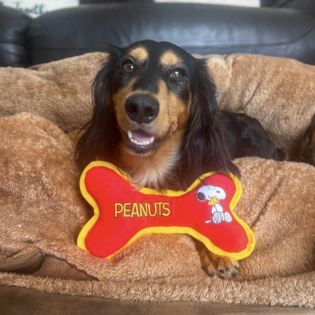 Multi - Snoopy - Peanuts Bone Pet Toy - 5