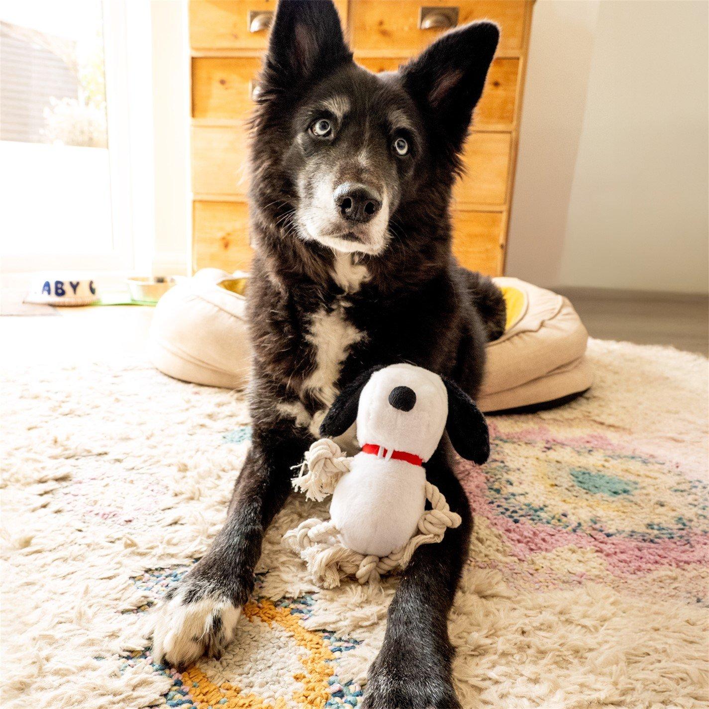 Multi - Snoopy - Peanuts Rope Pet Toy - 2