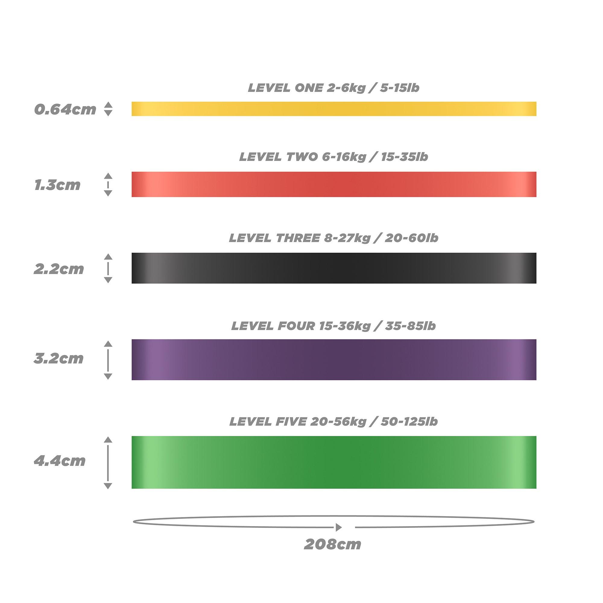 Standard - Phoenix Fitness - Pull-Up Training Resistance Bands - 2