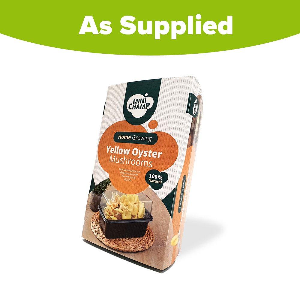 Multi - YouGarden - Grow You Own - Yellow Oyster Mushroom Kit - 3