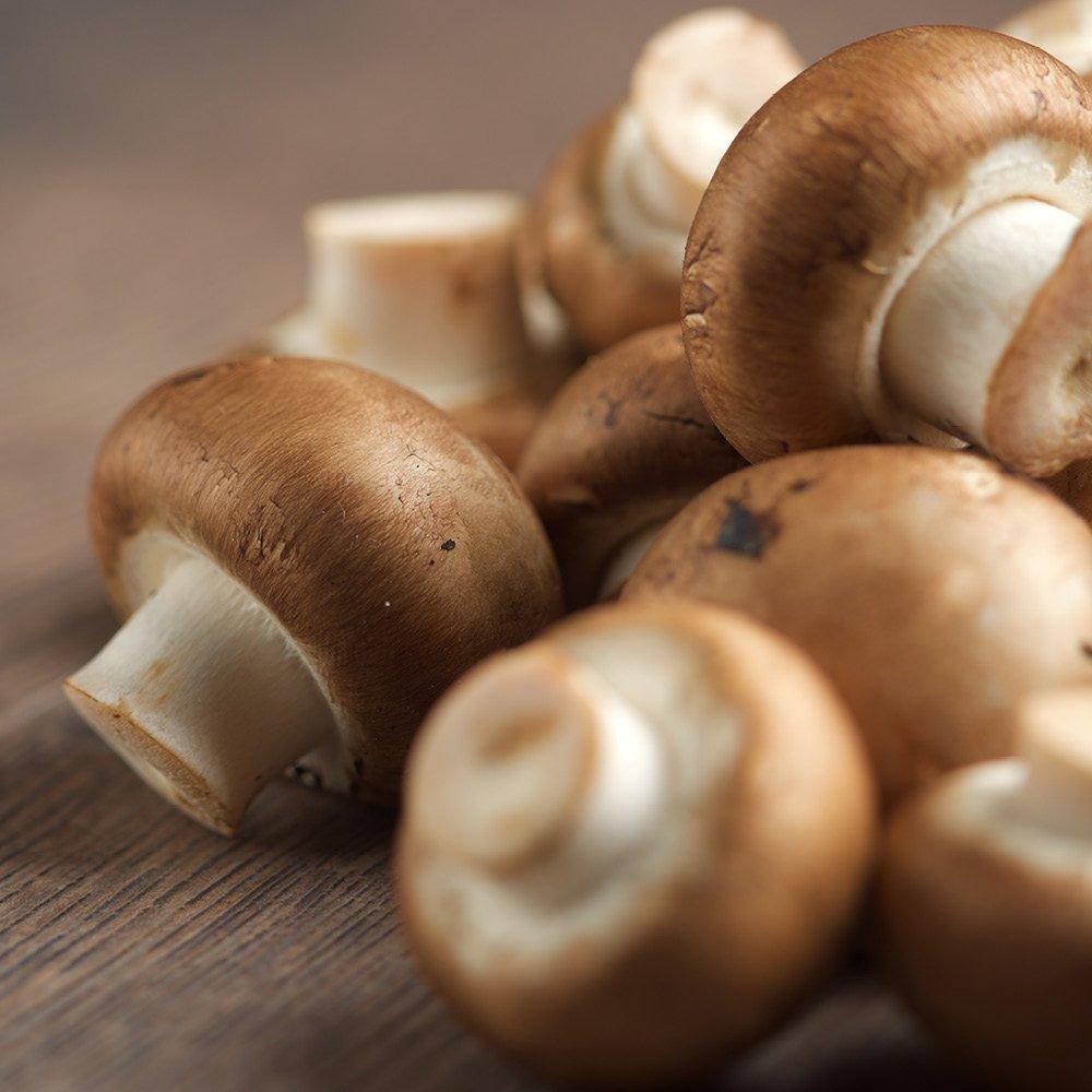 Multi - YouGarden - Grow Your Own - Brown Mushroom Kit - 2