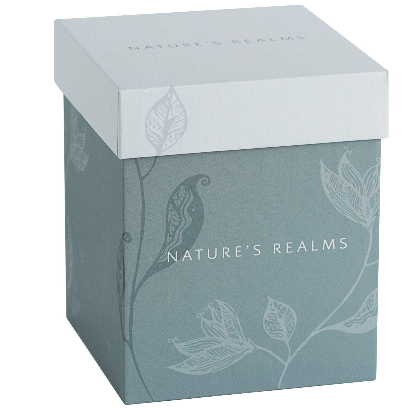 As Pictured - Natures Realms - 1507 - Kingfisher - 2