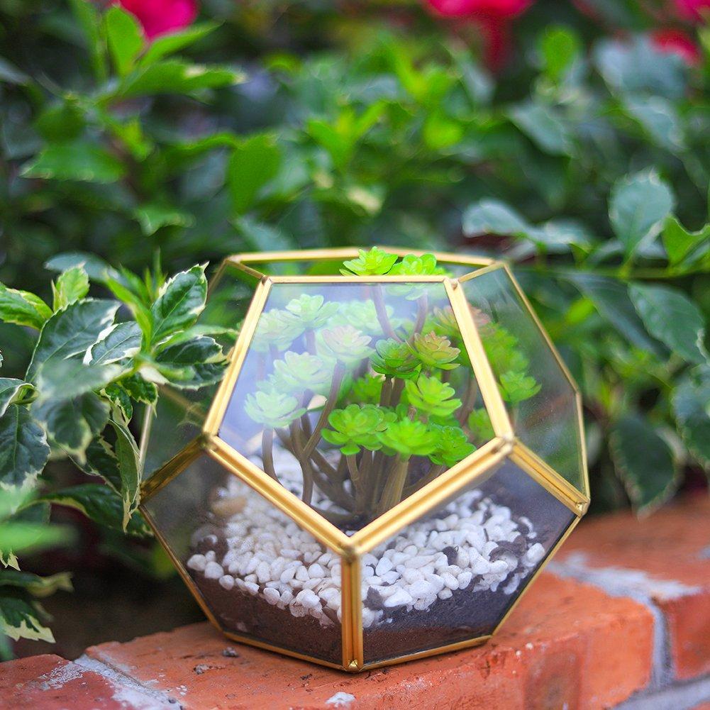 Life Ideas  Dodecahedron Geometric Glass Terrarium - Clear