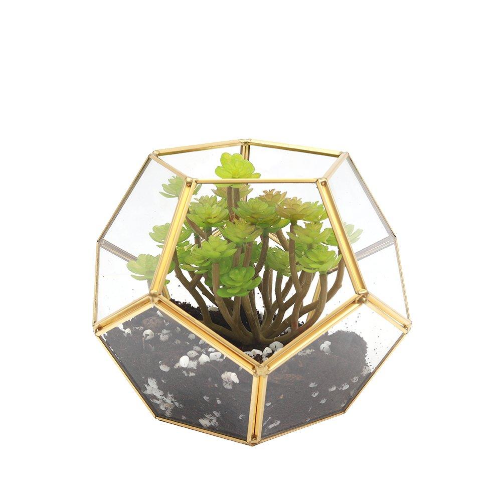 Clear - LIFE IDEAS - Dodecahedron Geometric Glass Terrarium - 3