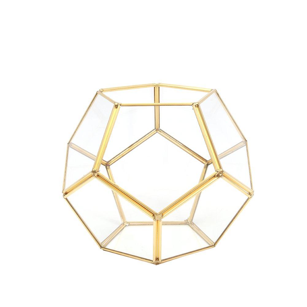 Clear - LIFE IDEAS - Dodecahedron Geometric Glass Terrarium - 5