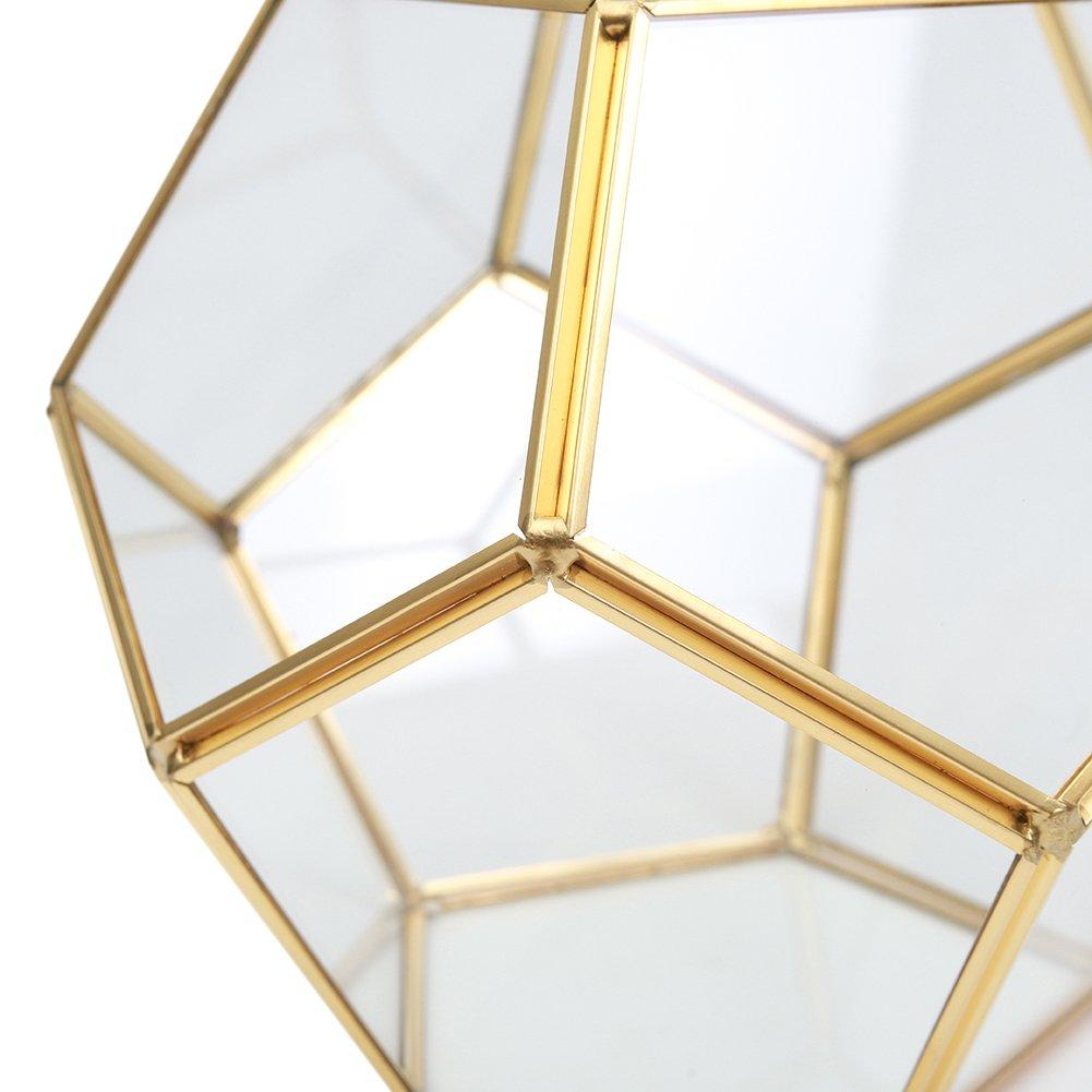 Clear - LIFE IDEAS - Dodecahedron Geometric Glass Terrarium - 6
