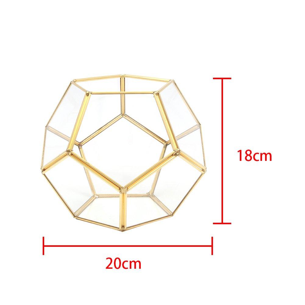 Clear - LIFE IDEAS - Dodecahedron Geometric Glass Terrarium - 7