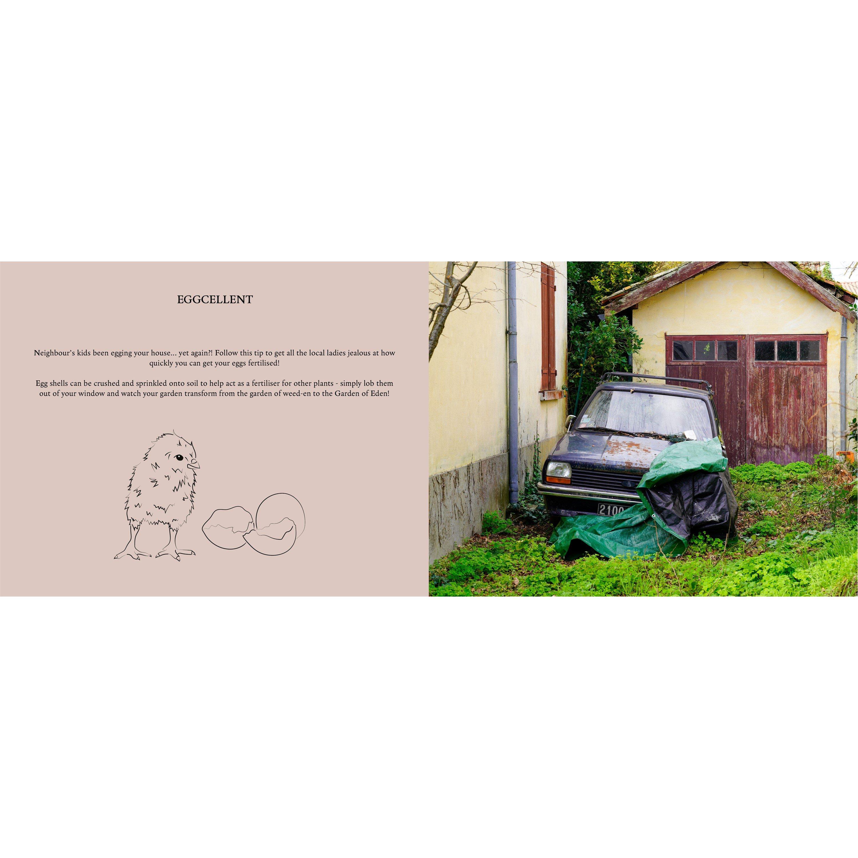 Multi - Boxer Gifts - Wild Garden Book - Managing An Unmanageable Garden - 4