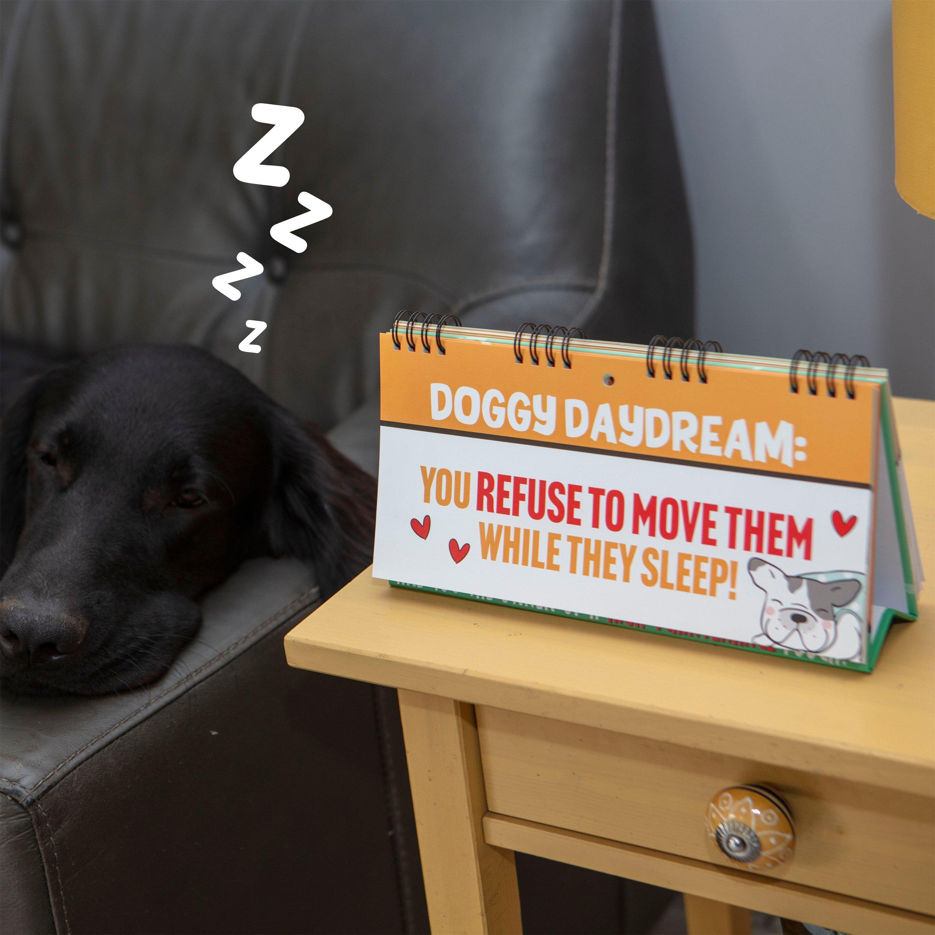 Multi - Boxer Gifts - 50 Ways To Spoil Your Dog Flipbook Funny Dog Gift - 3