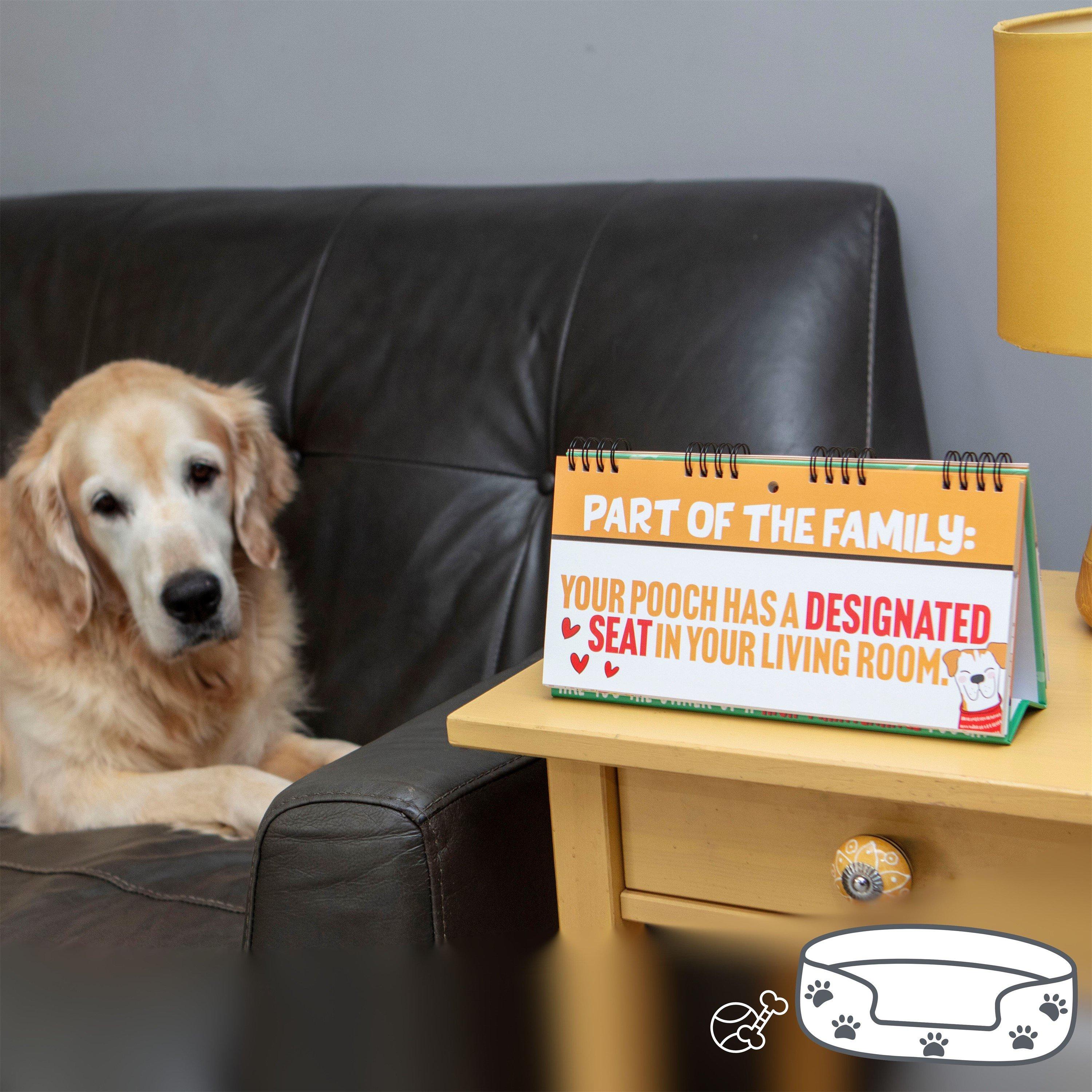 Multi - Boxer Gifts - 50 Ways To Spoil Your Dog Flipbook Funny Dog Gift - 4